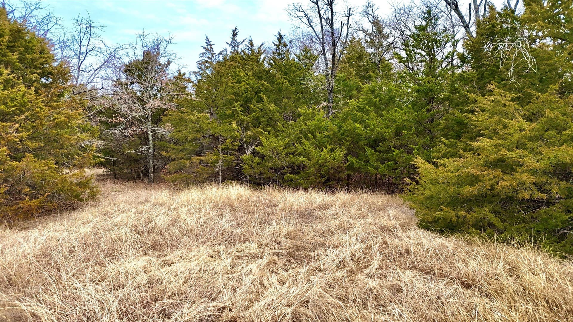 88 acres in Cooke County - photo 31