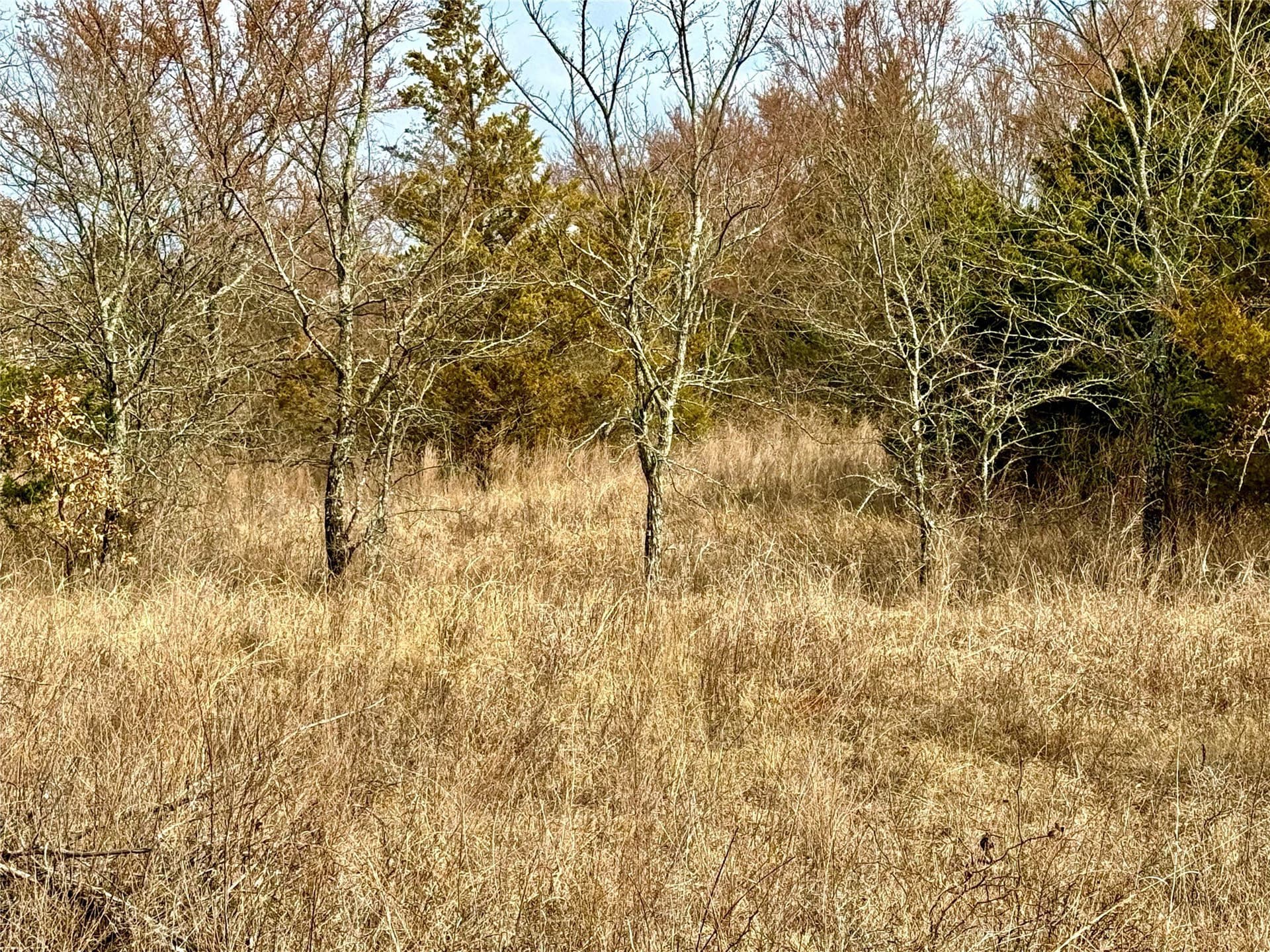 88 acres in Cooke County - photo 20