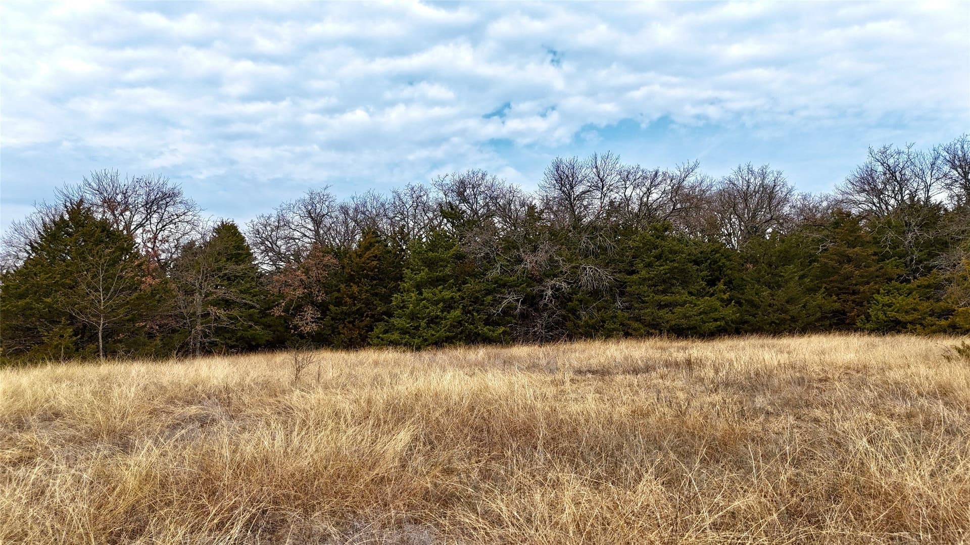88 acres in Cooke County - photo 34