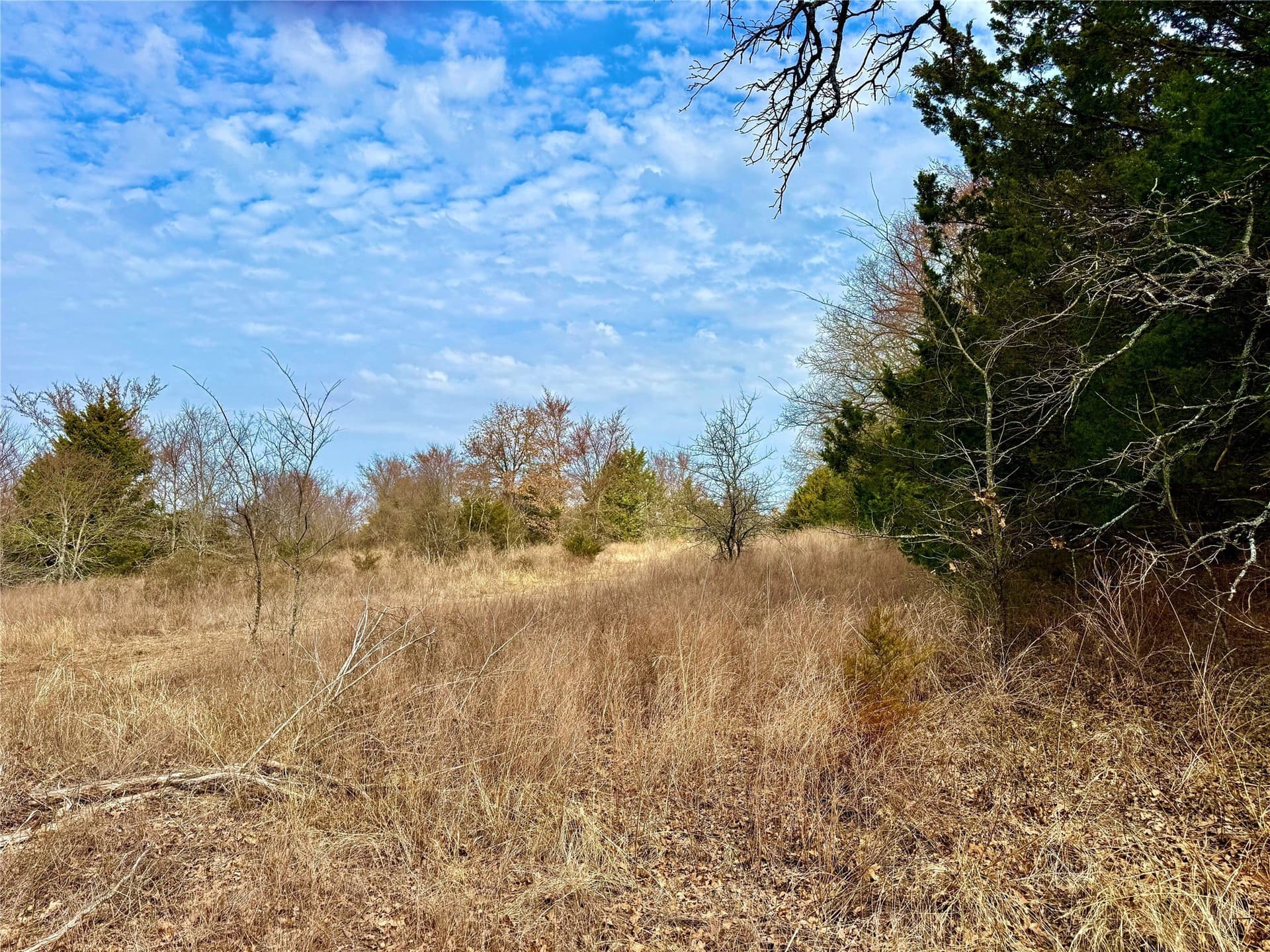 88 acres in Cooke County - photo 22