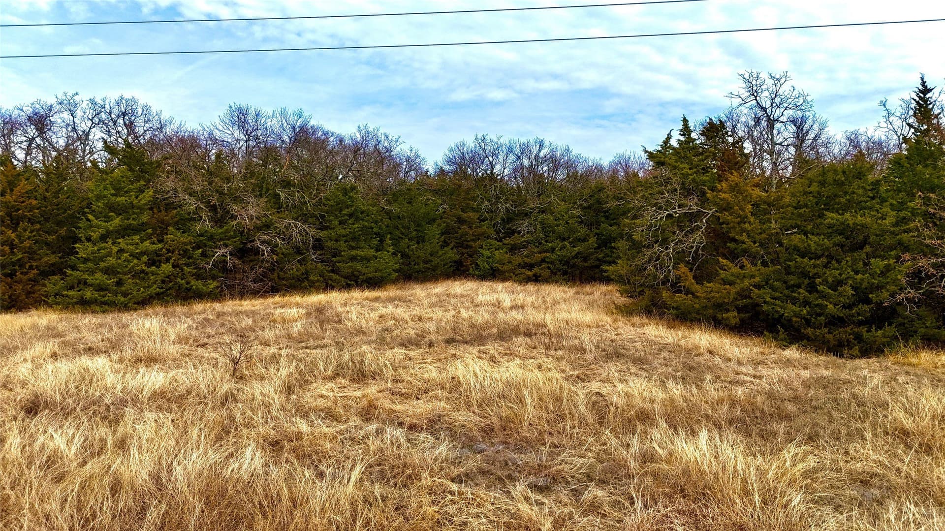 88 acres in Cooke County - photo 33