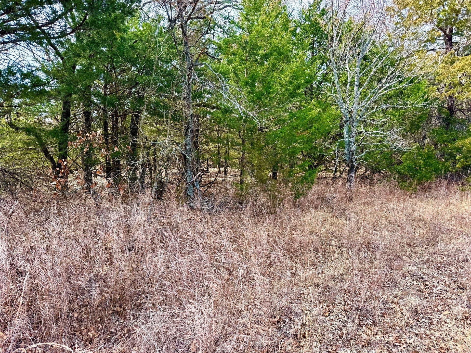 88 acres in Cooke County - photo 21