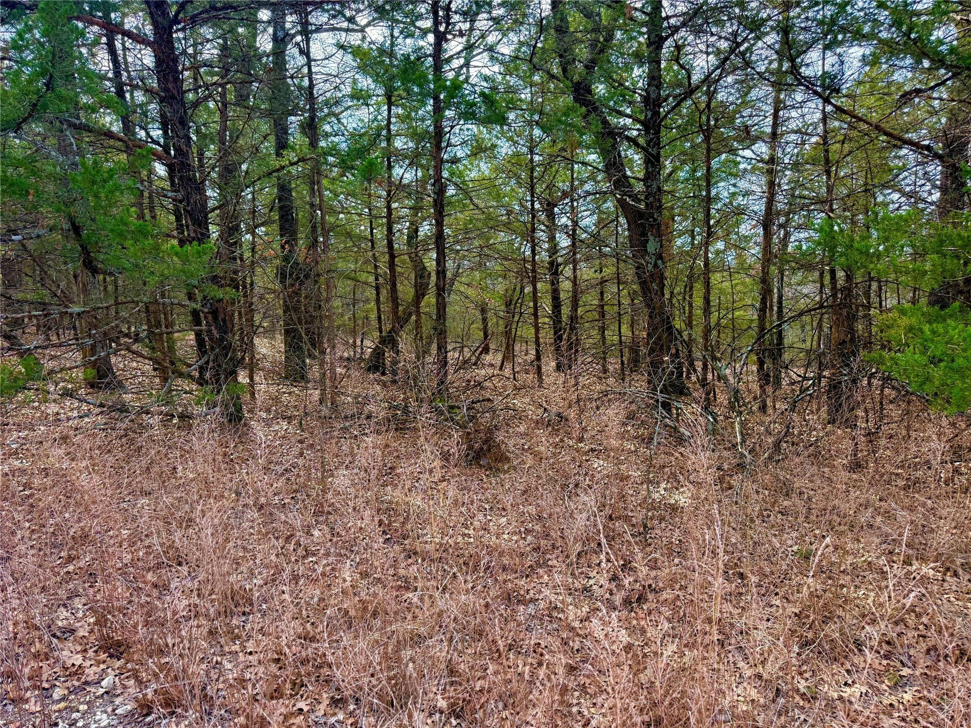 88 acres in Cooke County - photo 23
