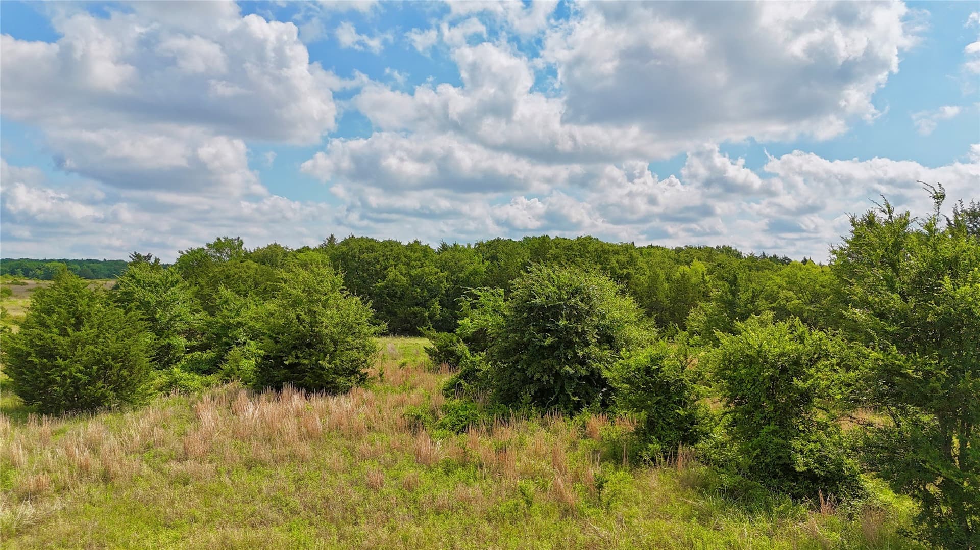 88 acres in Cooke County - photo 10