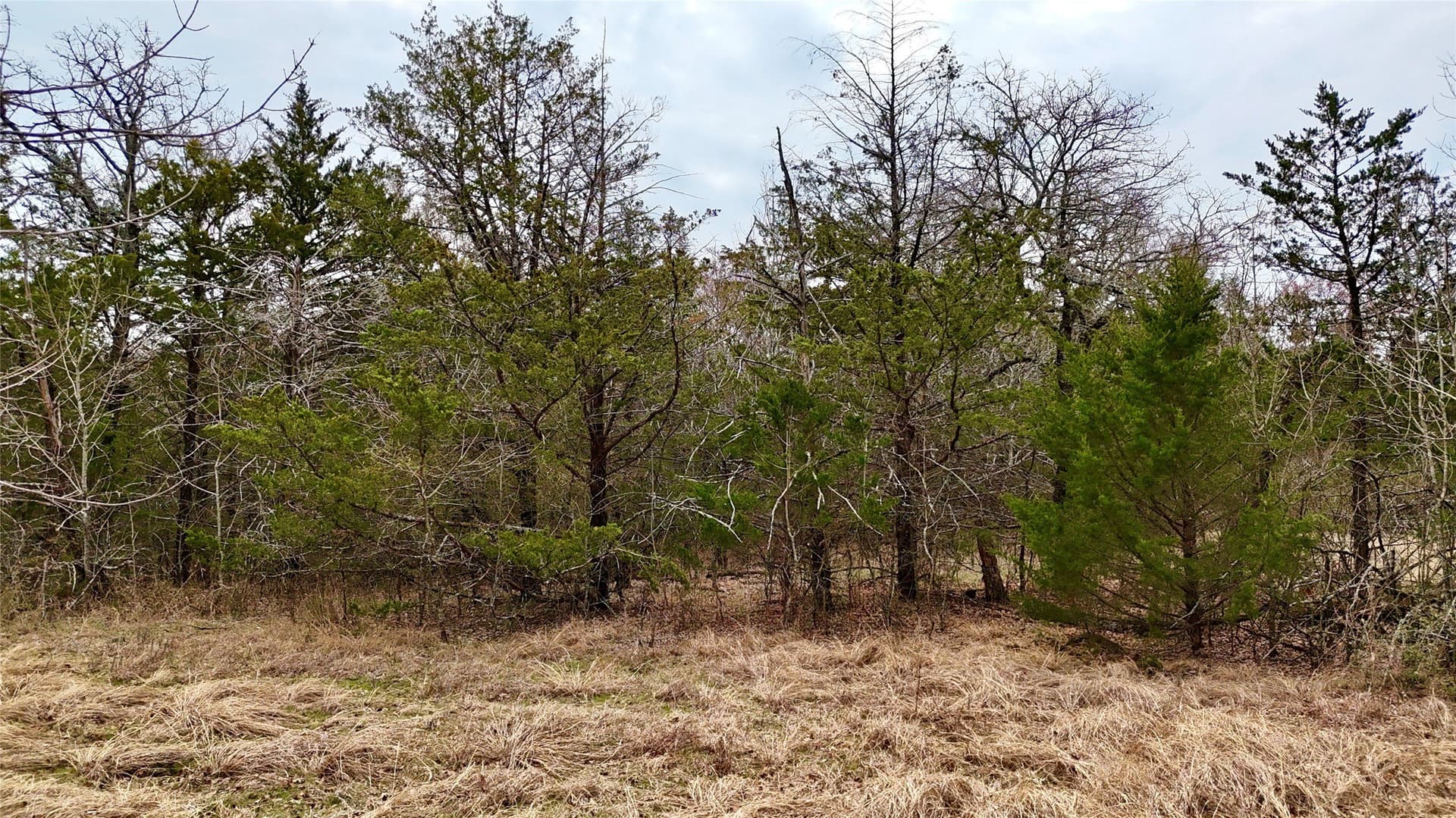 88 acres in Cooke County - photo 36