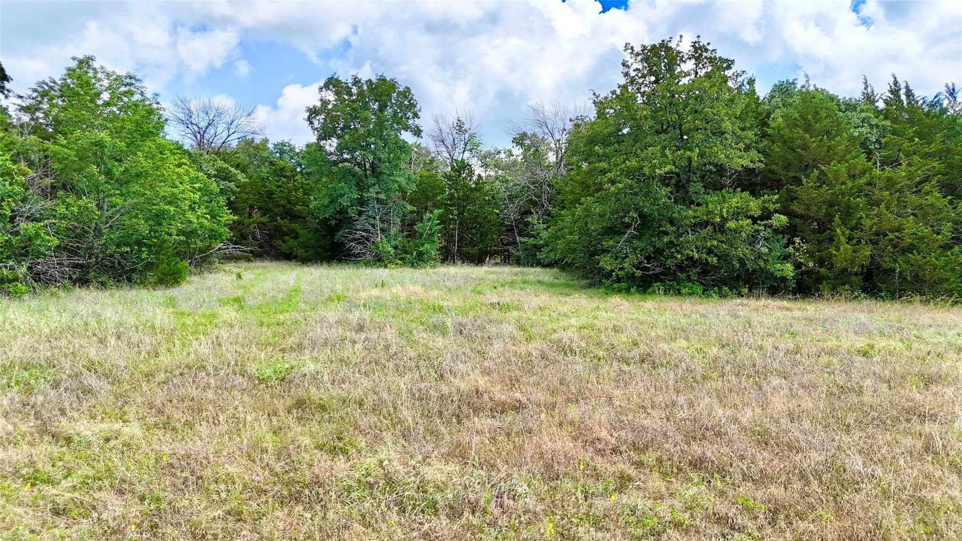 88 acres in Cooke County - photo 3