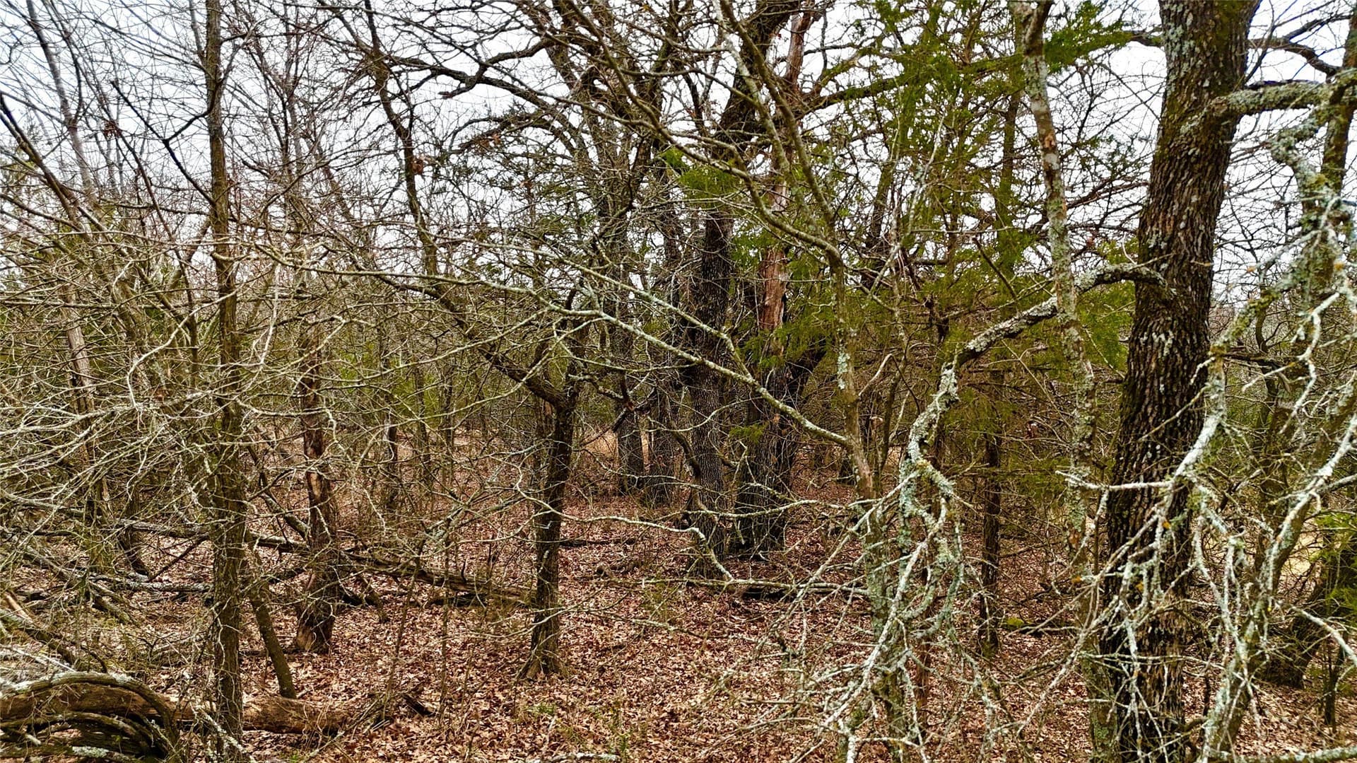88 acres in Cooke County - photo 32