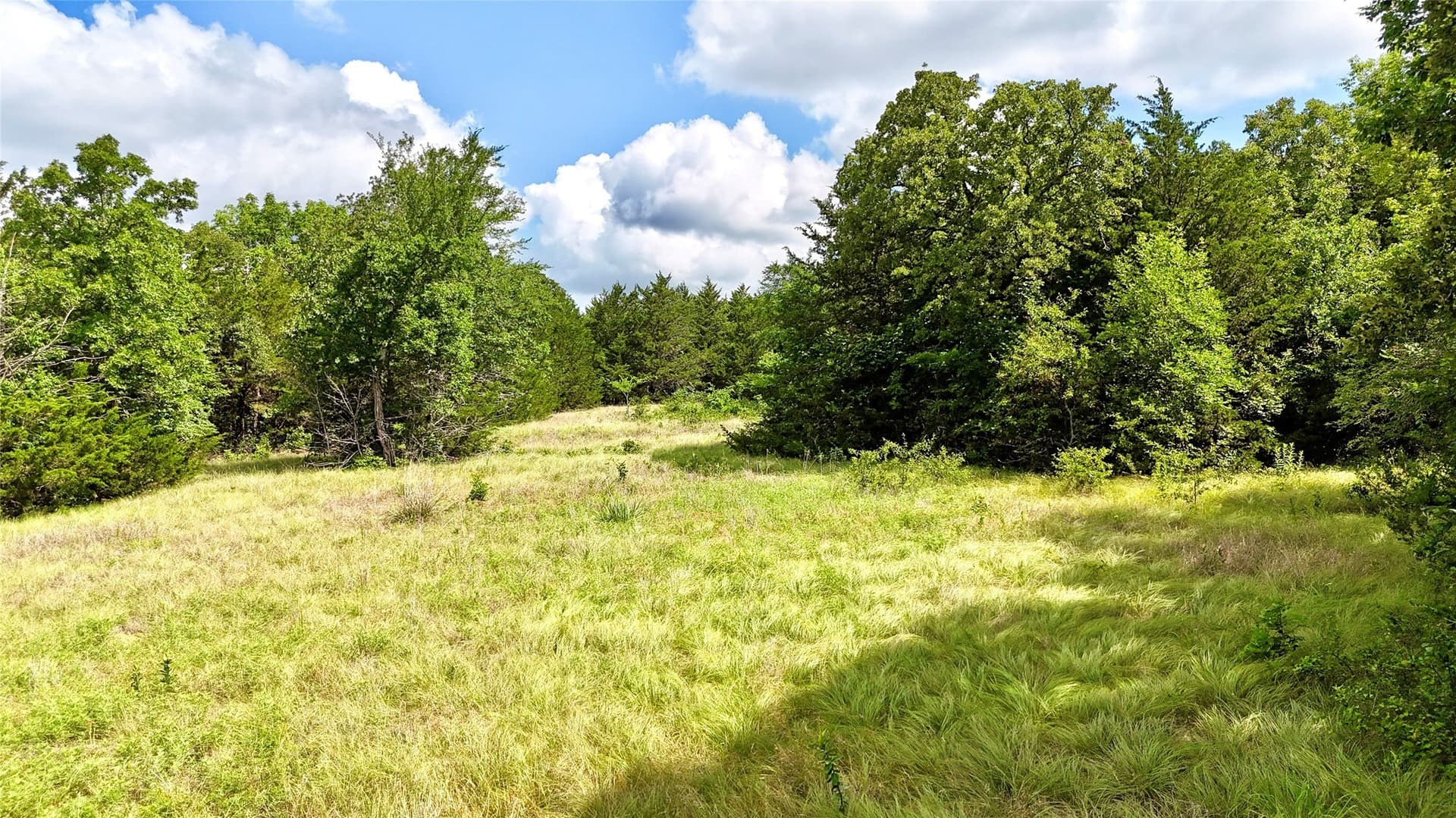 88 acres in Cooke County