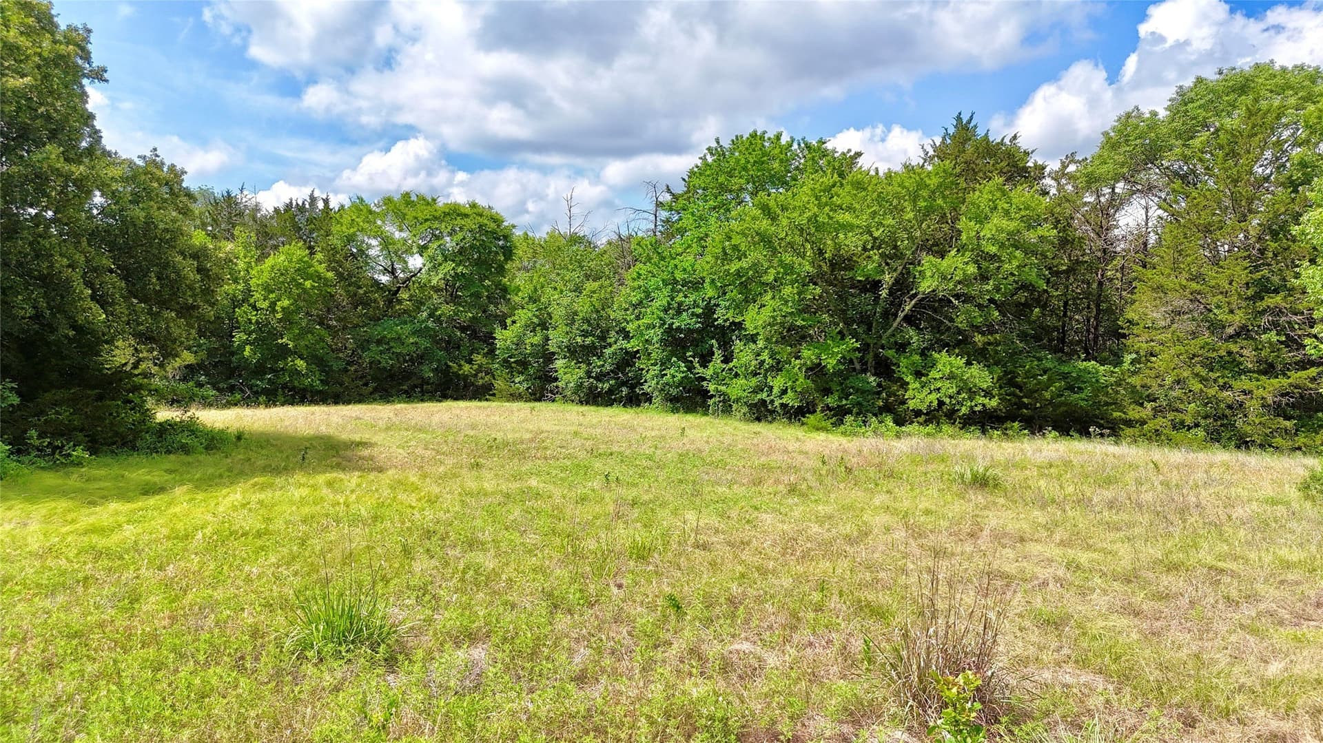 88 acres in Cooke County - photo 2