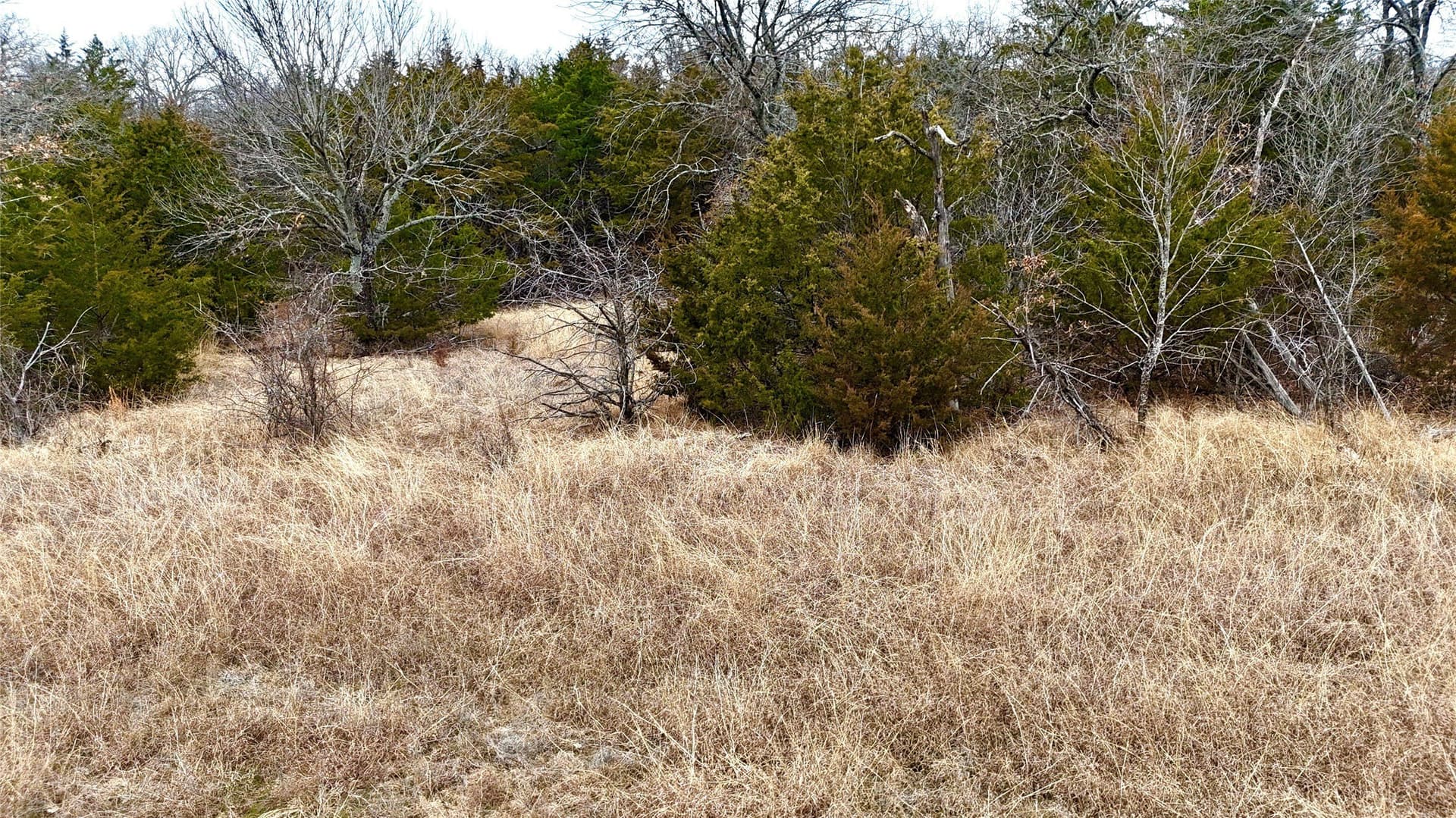 88 acres in Cooke County - photo 39