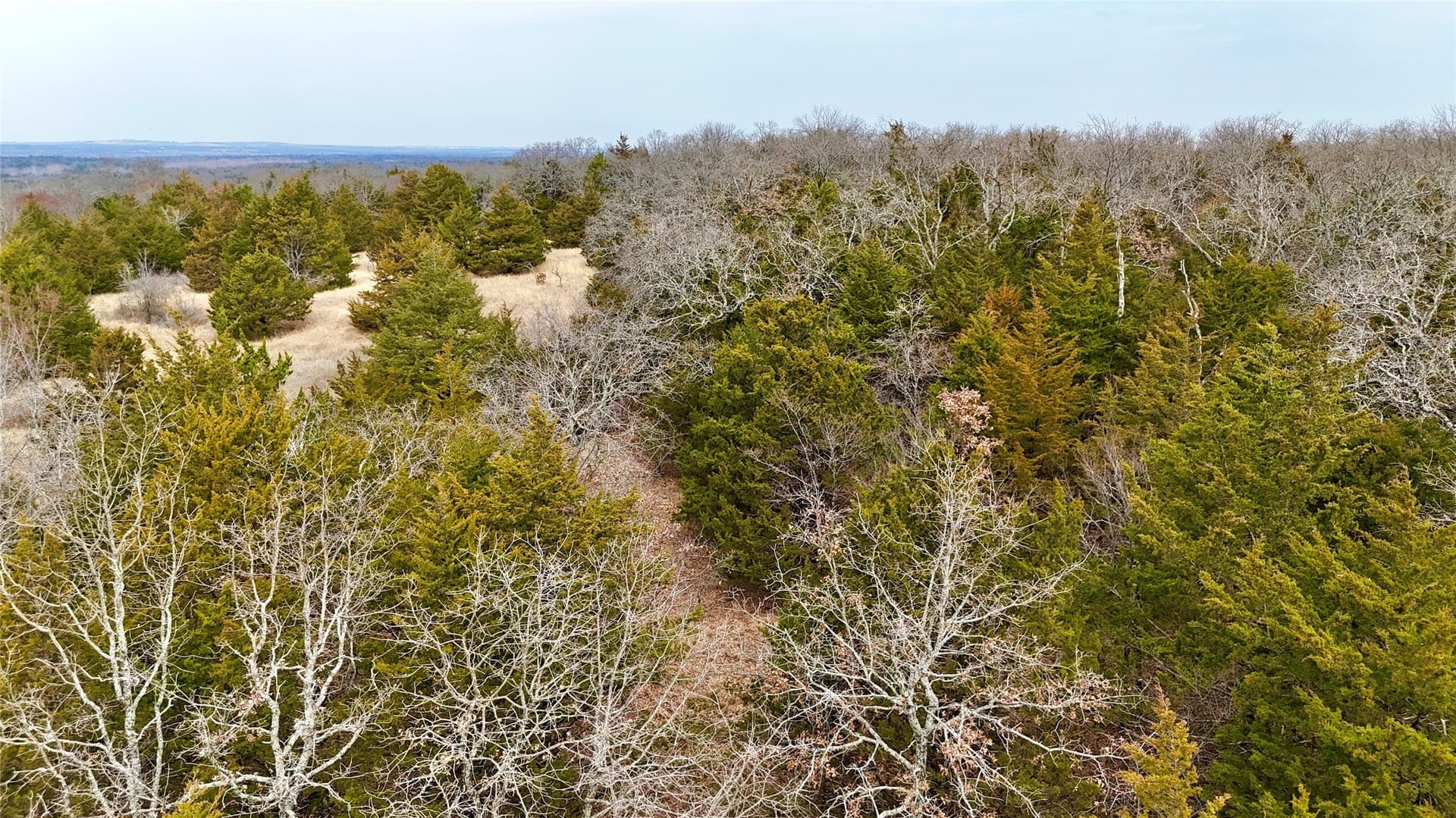 88 acres in Cooke County - photo 30