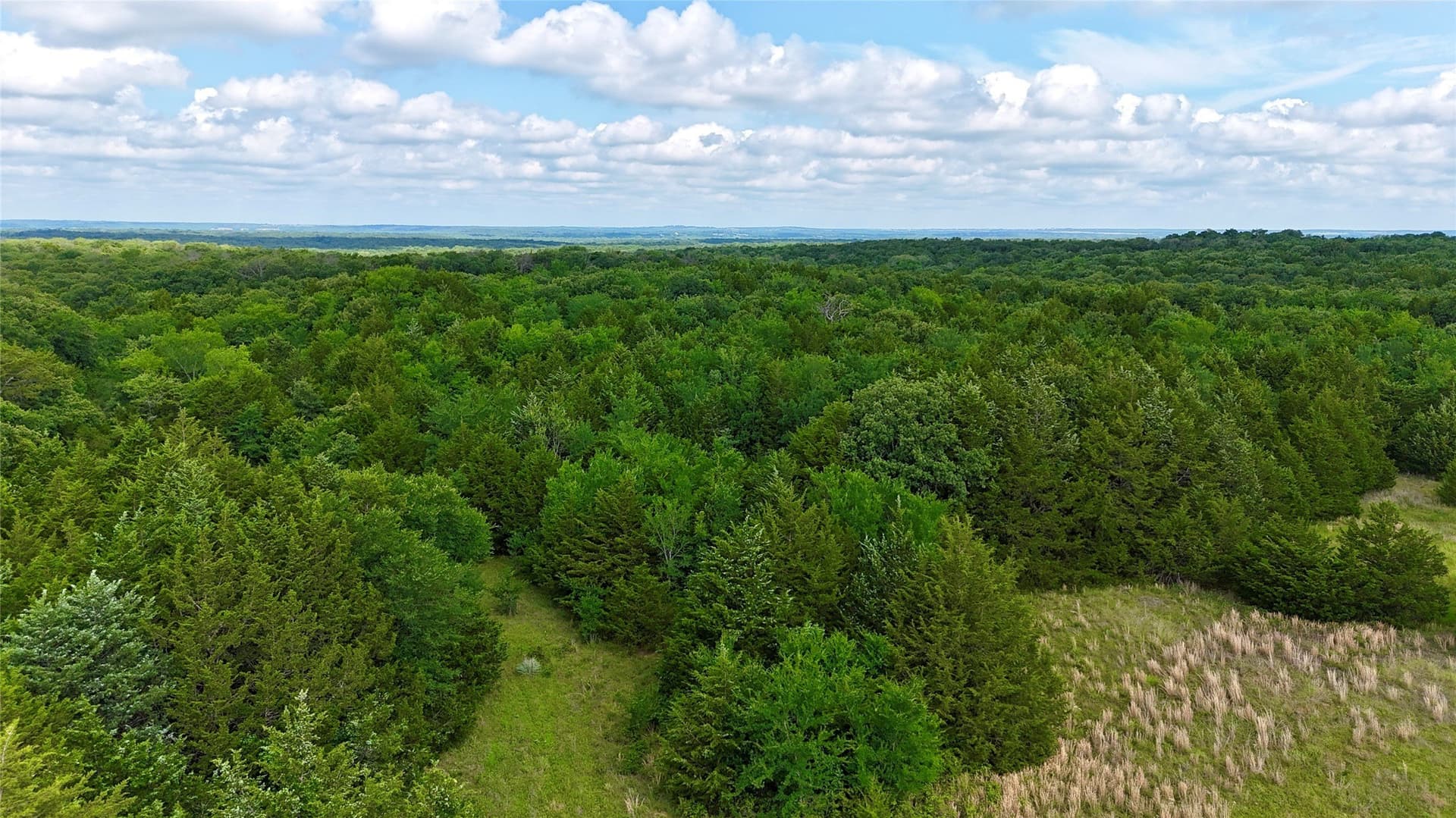 88 acres in Cooke County - photo 11