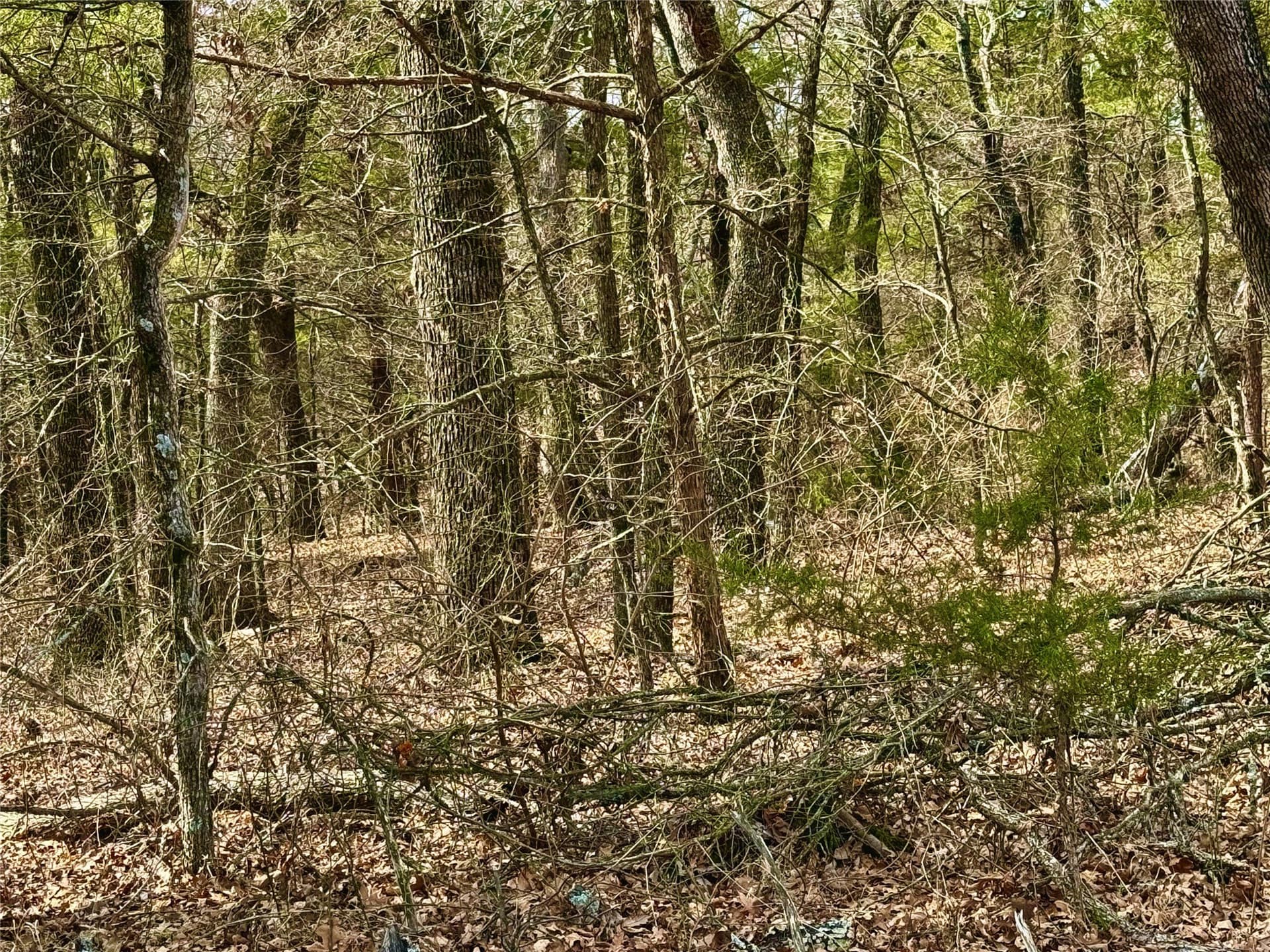 88 acres in Cooke County - photo 19
