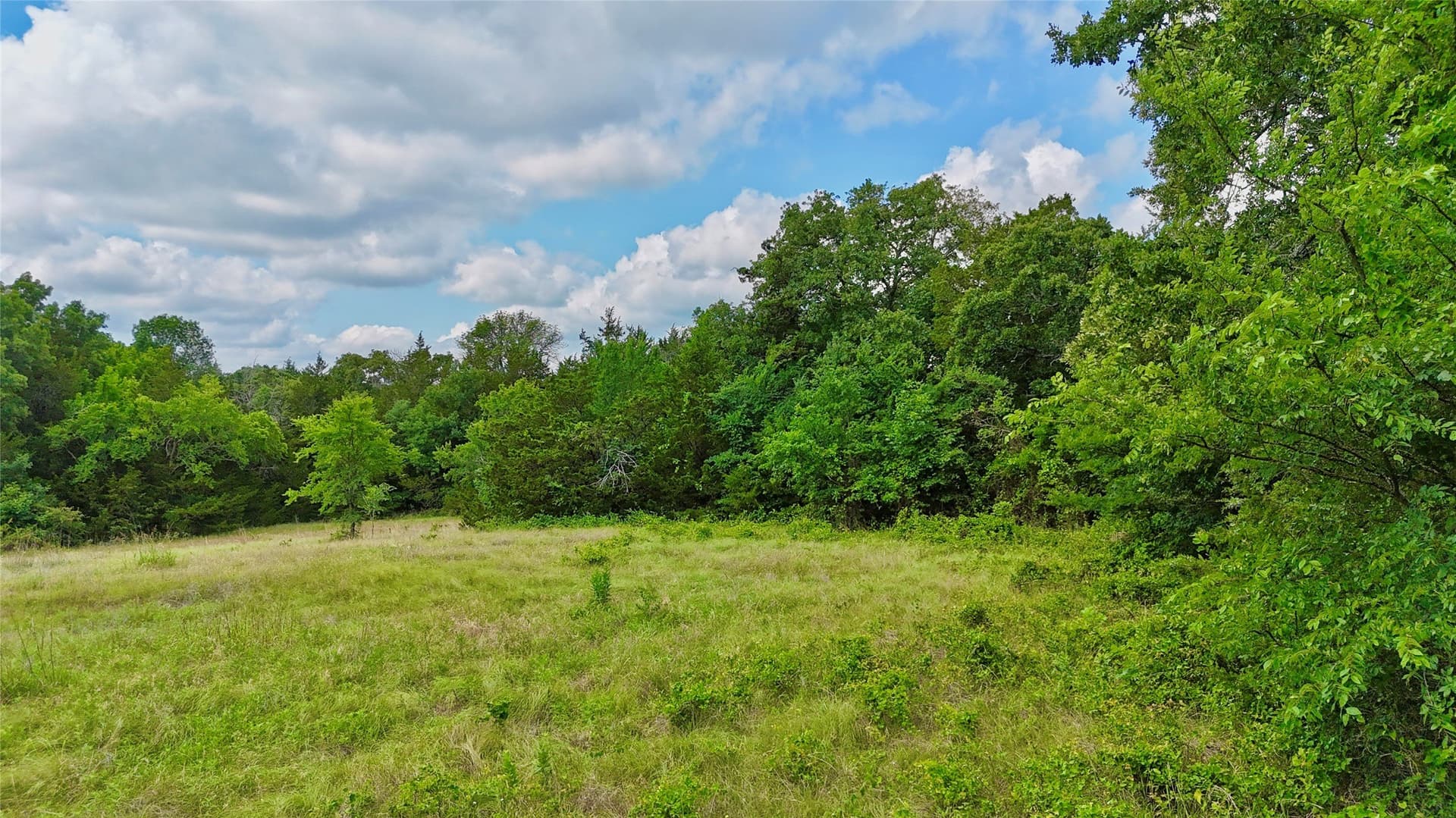 88 acres in Cooke County - photo 9