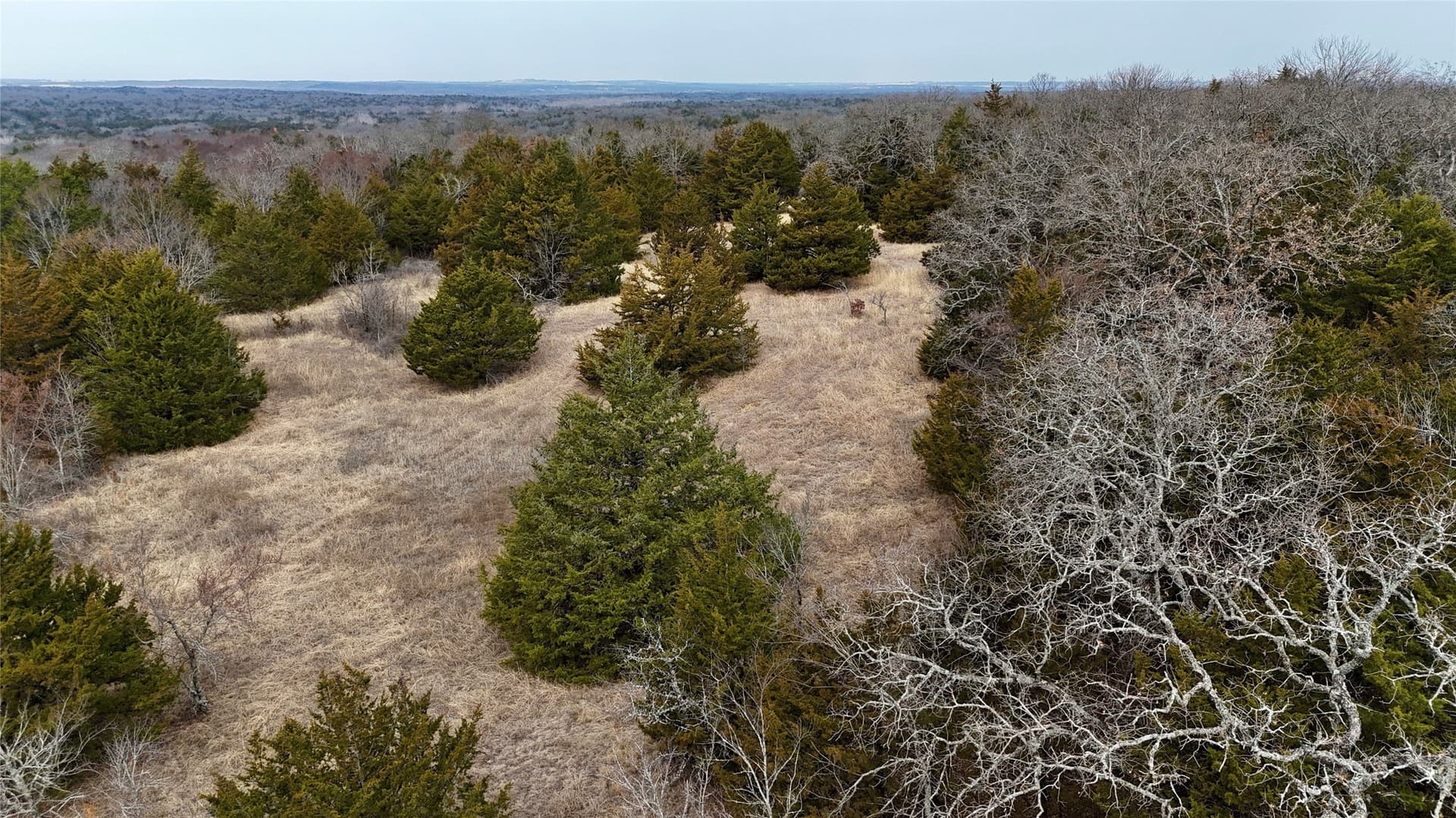 88 acres in Cooke County - photo 29