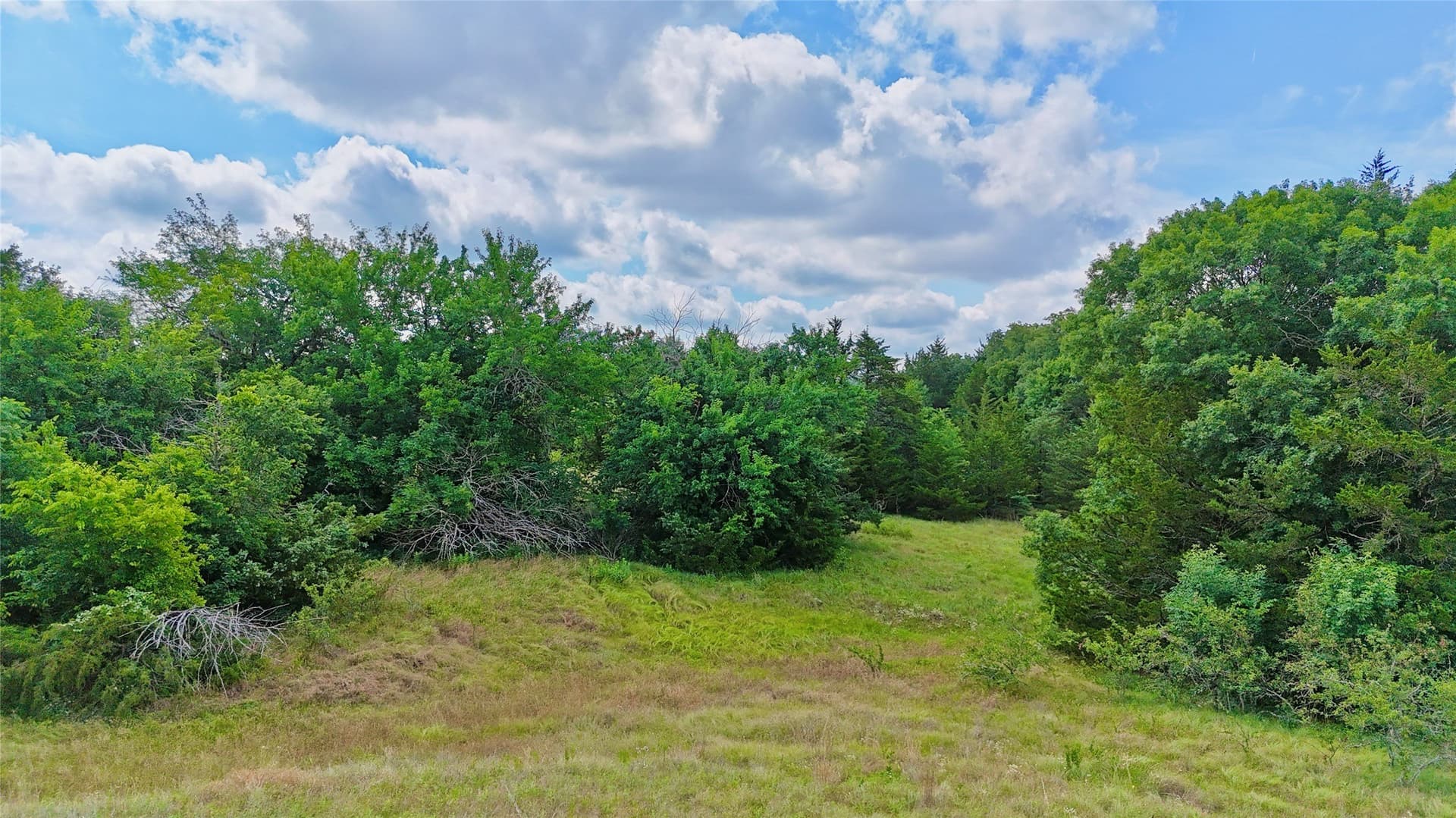 88 acres in Cooke County - photo 8