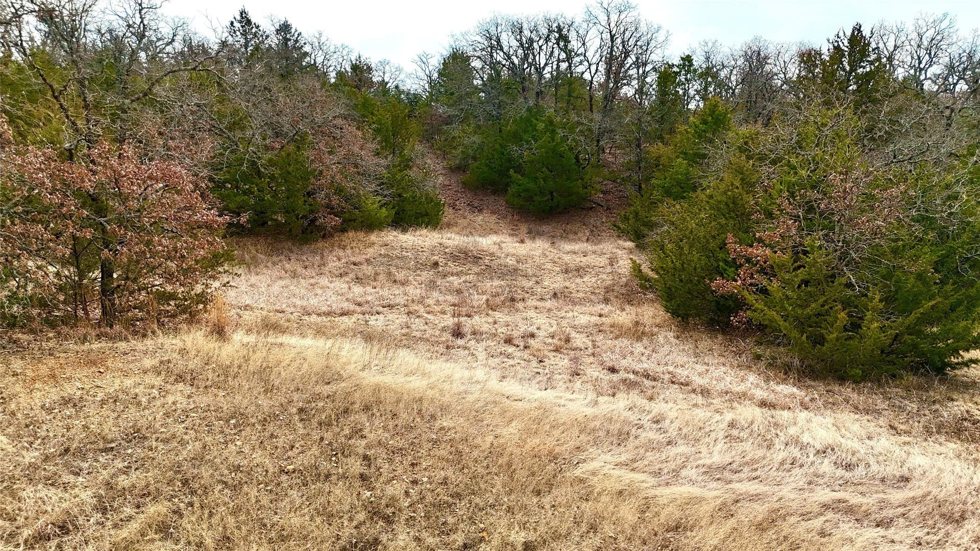 88 acres in Cooke County - photo 25