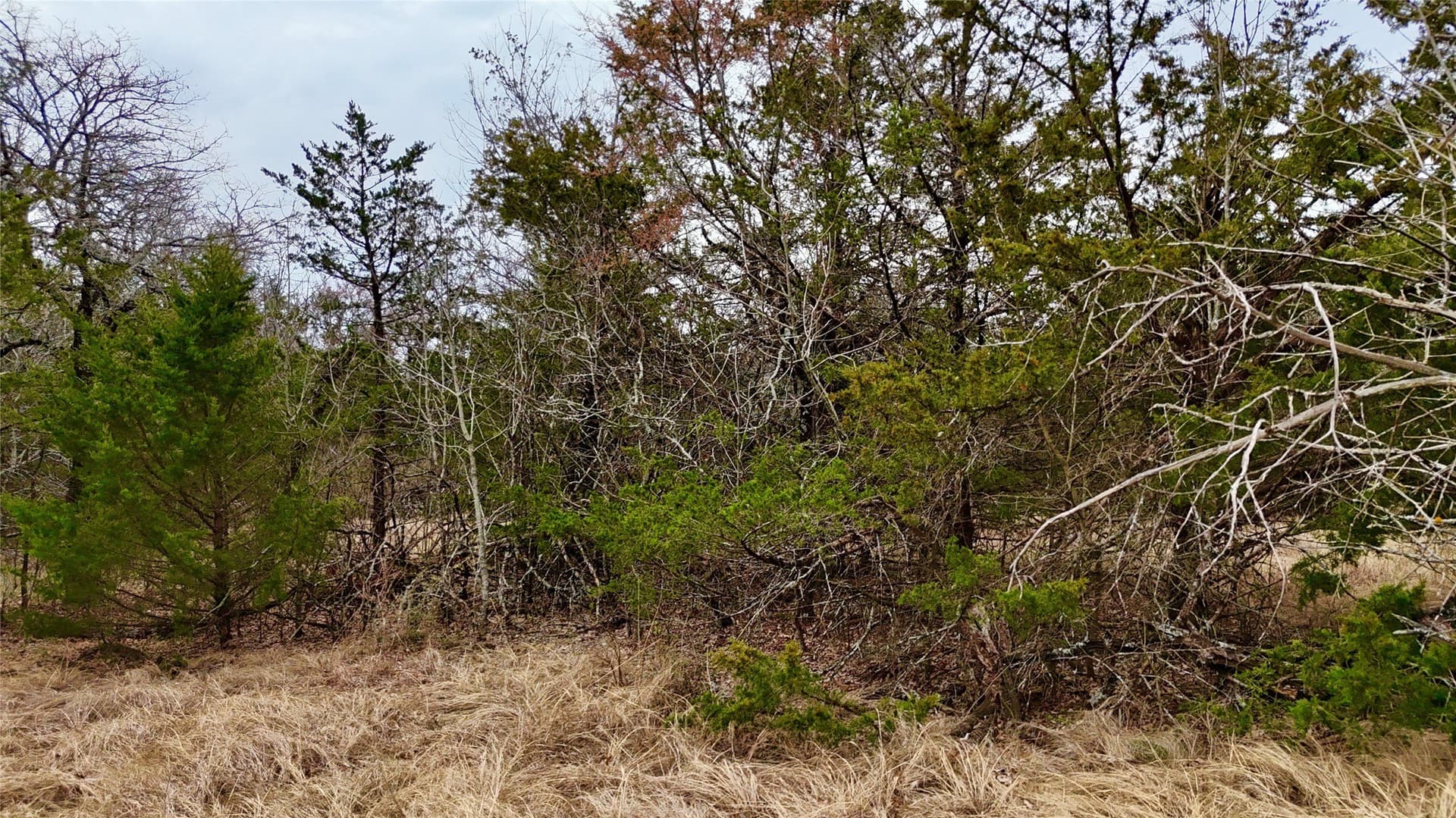 88 acres in Cooke County - photo 35