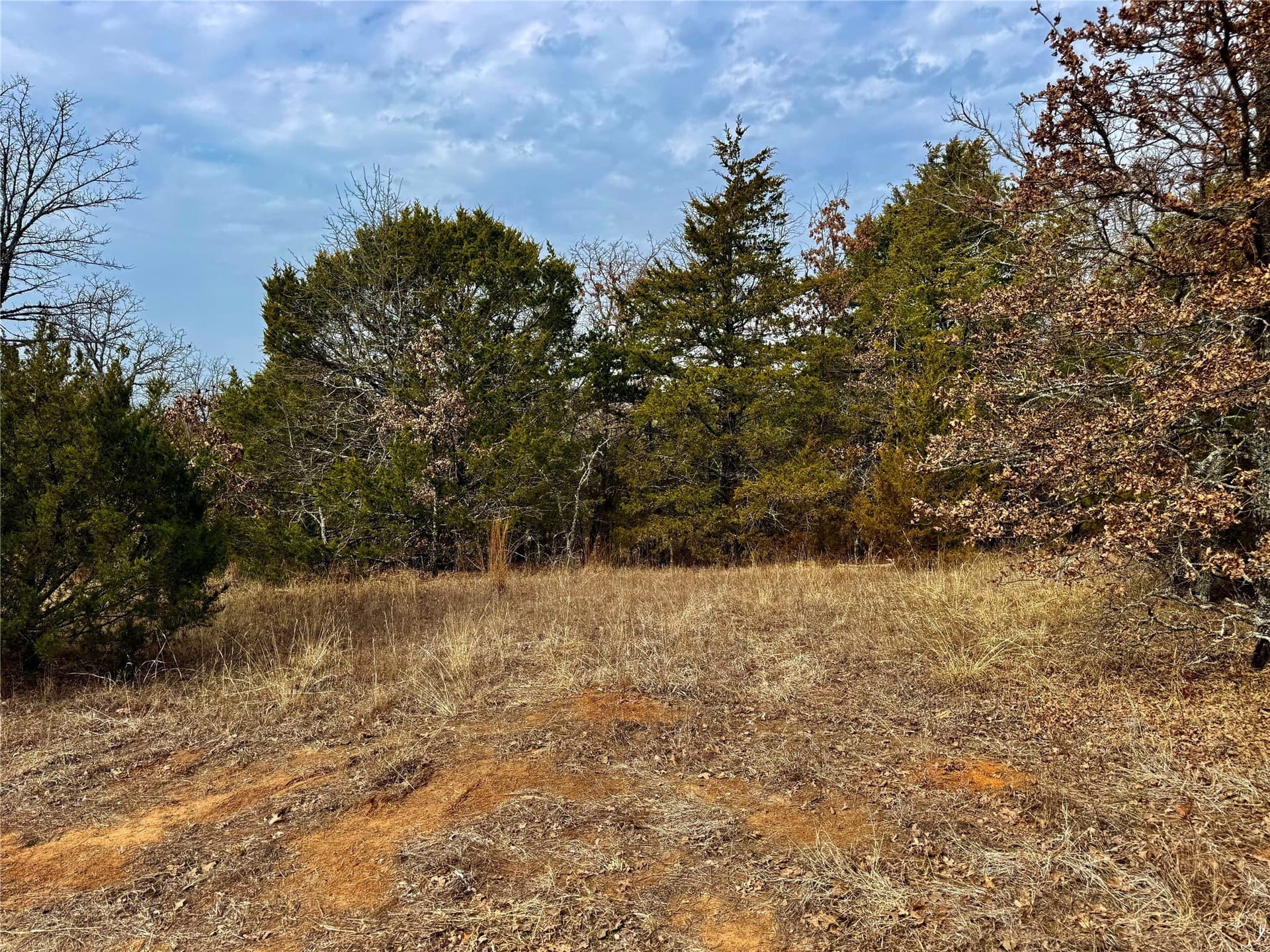 88 acres in Cooke County