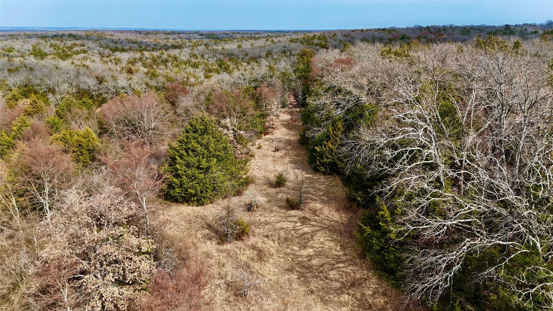 88 acres in Cooke County - photo 28