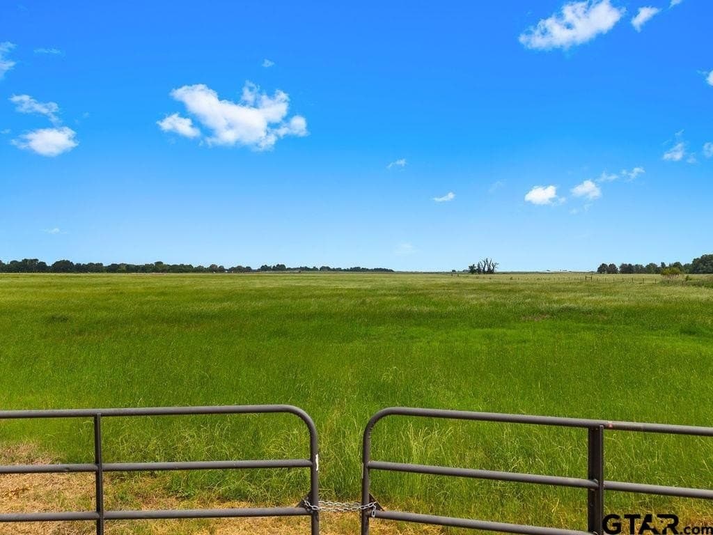 15.77 acres in Van Zandt County gallery image 3