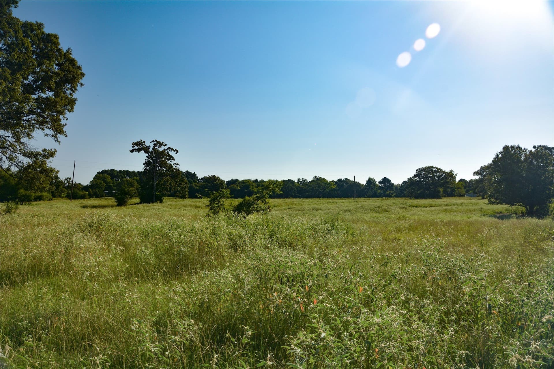 40.5 acres in Van Zandt County - photo 7