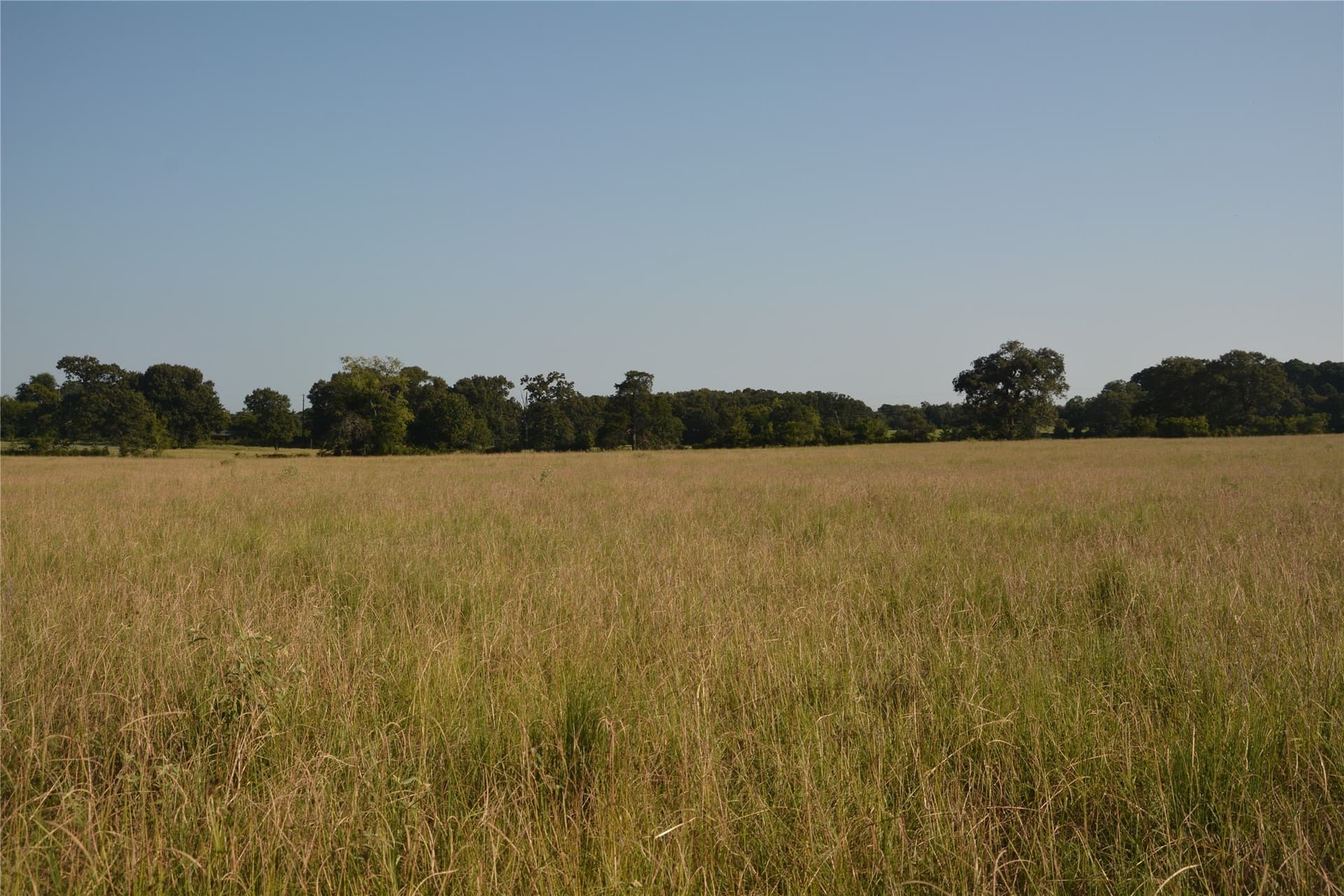 40.5 acres in Van Zandt County - photo 8