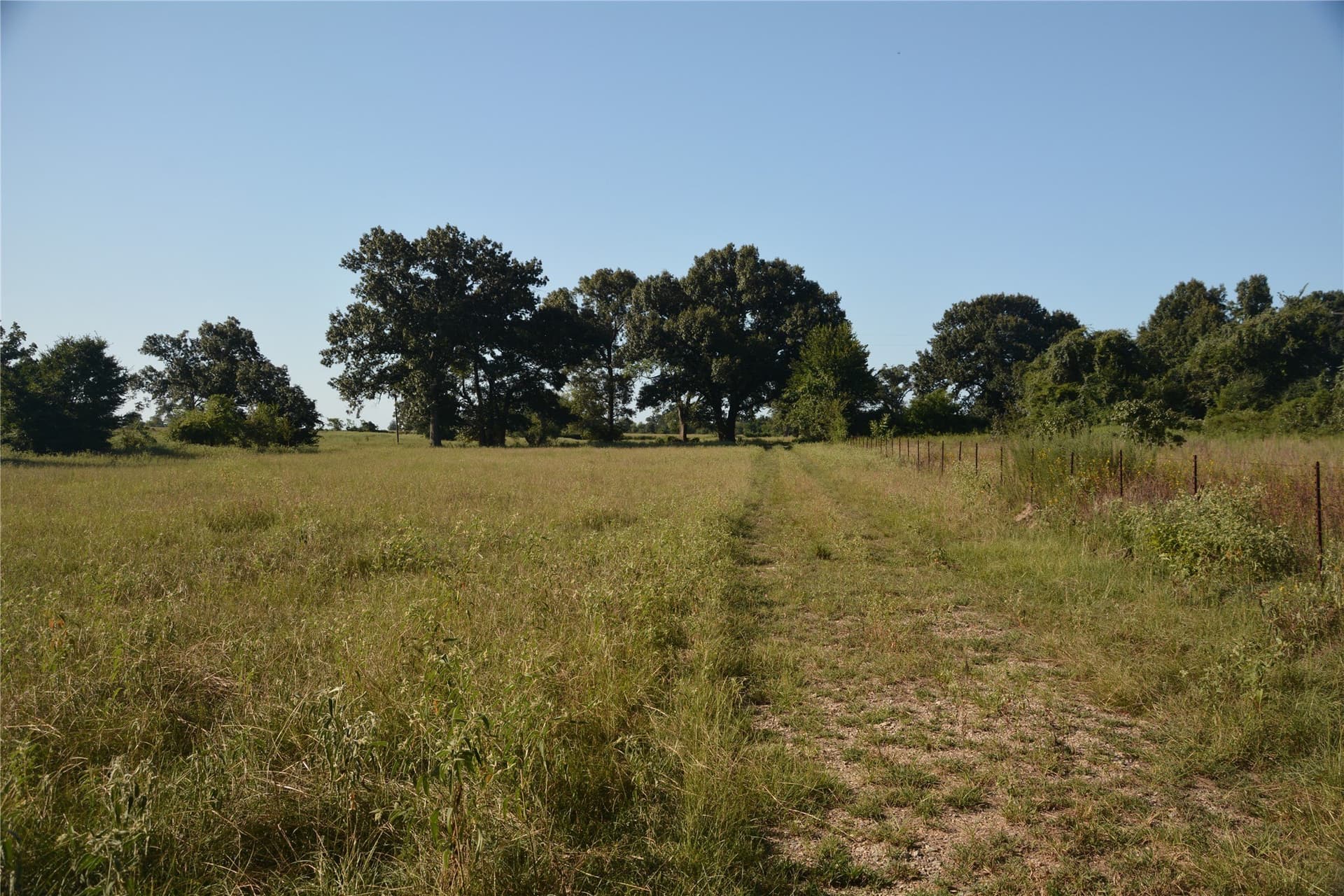 40.5 acres in Van Zandt County - photo 9