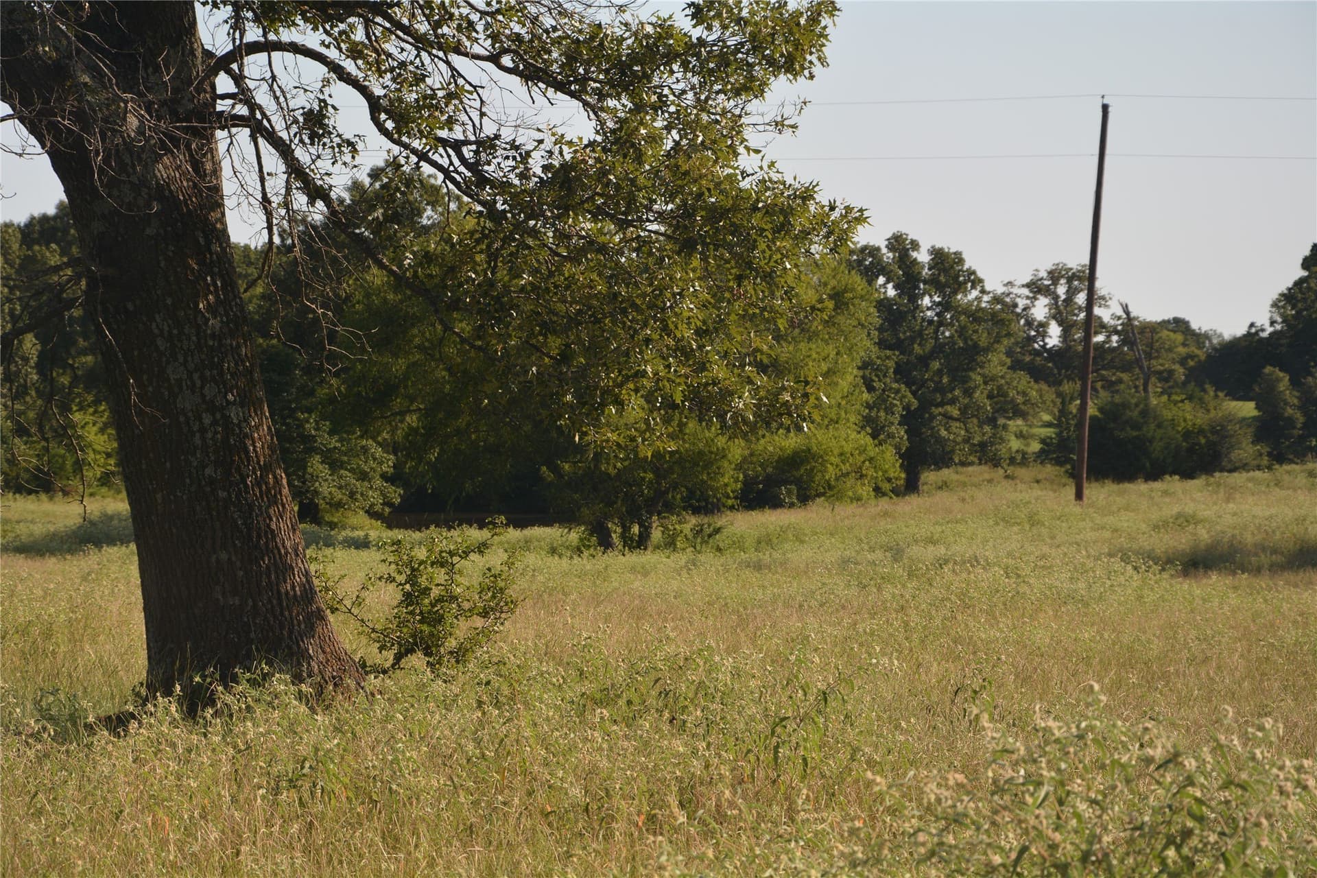 40.5 acres in Van Zandt County - photo 11