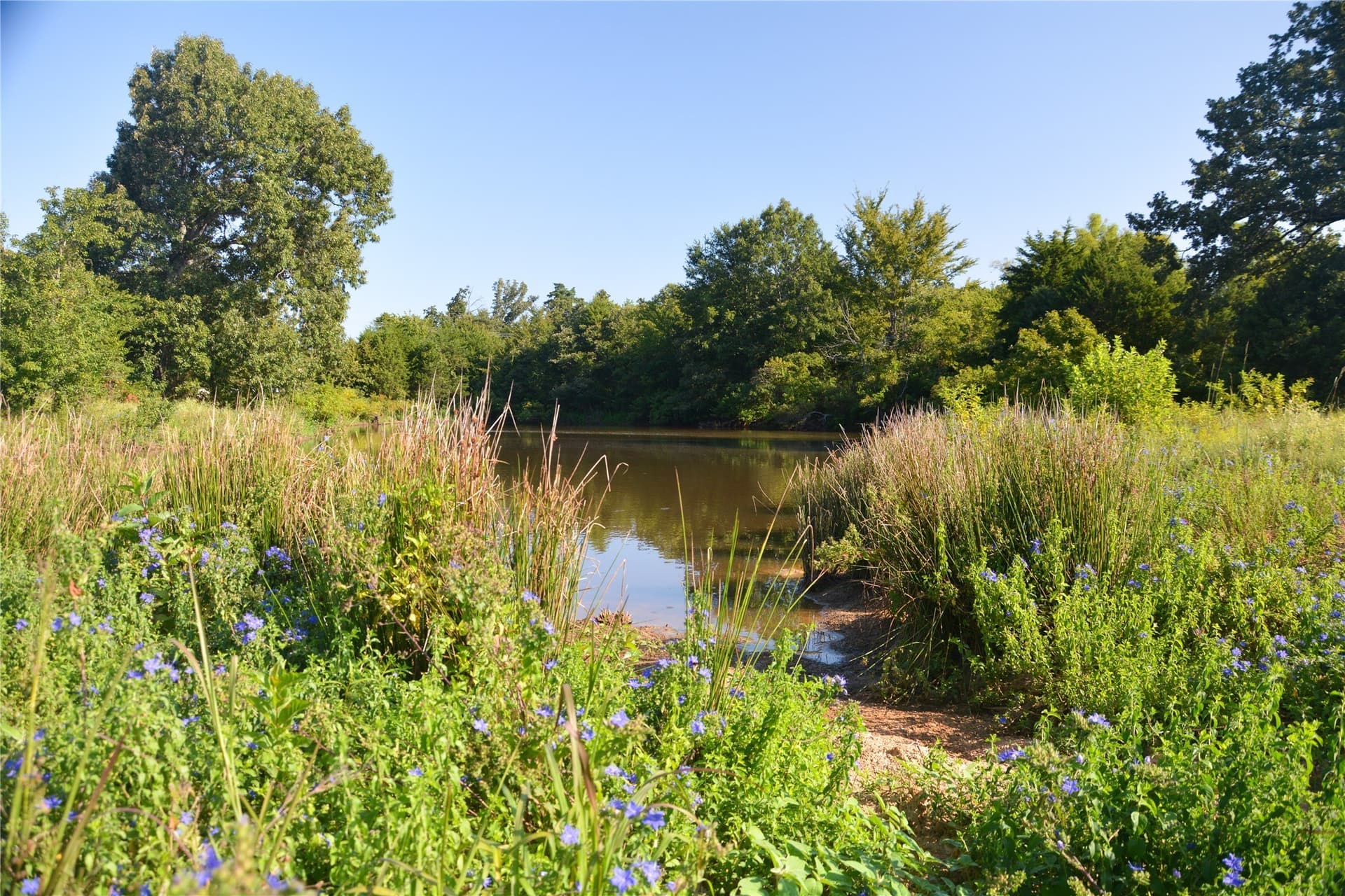 40.5 acres in Van Zandt County gallery image 2