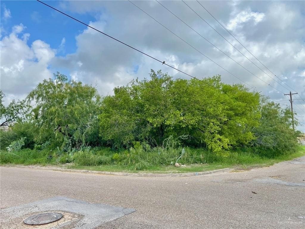 0.3 acres in Hidalgo County