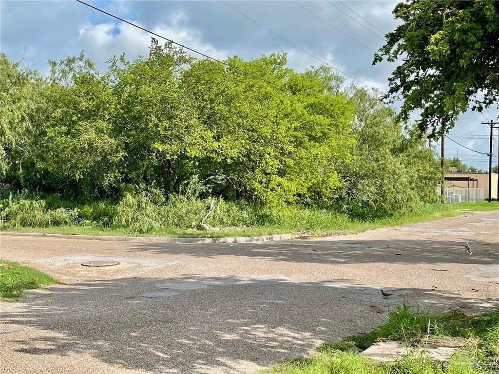 0.3 acres in Hidalgo County gallery image 4