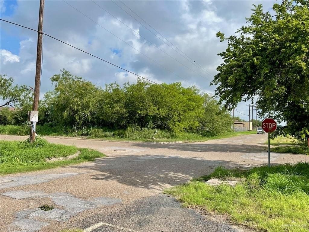 0.3 acres in Hidalgo County gallery image 3