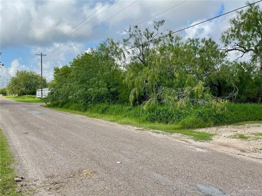 0.3 acres in Hidalgo County gallery image 2