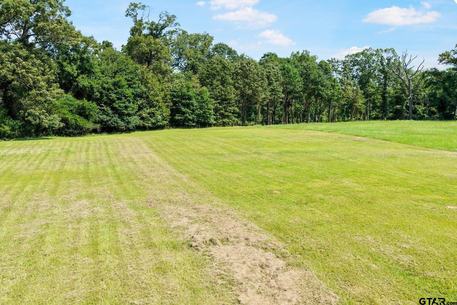 1.13 acres in Titus County featured view