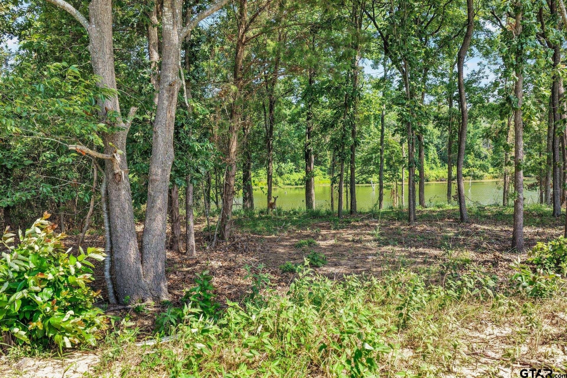 1.13 acres in Titus County - photo 8