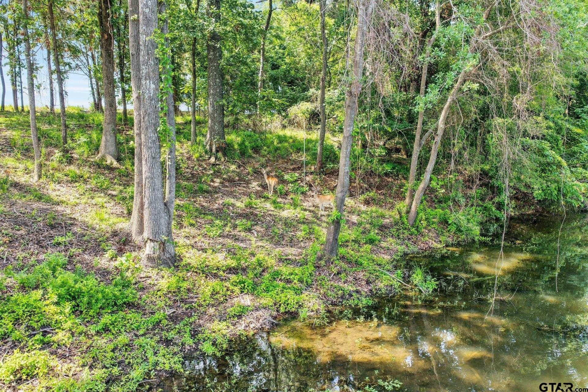 1.13 acres in Titus County - photo 10