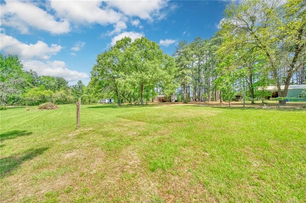 24.7 acres in Leon County gallery image 3