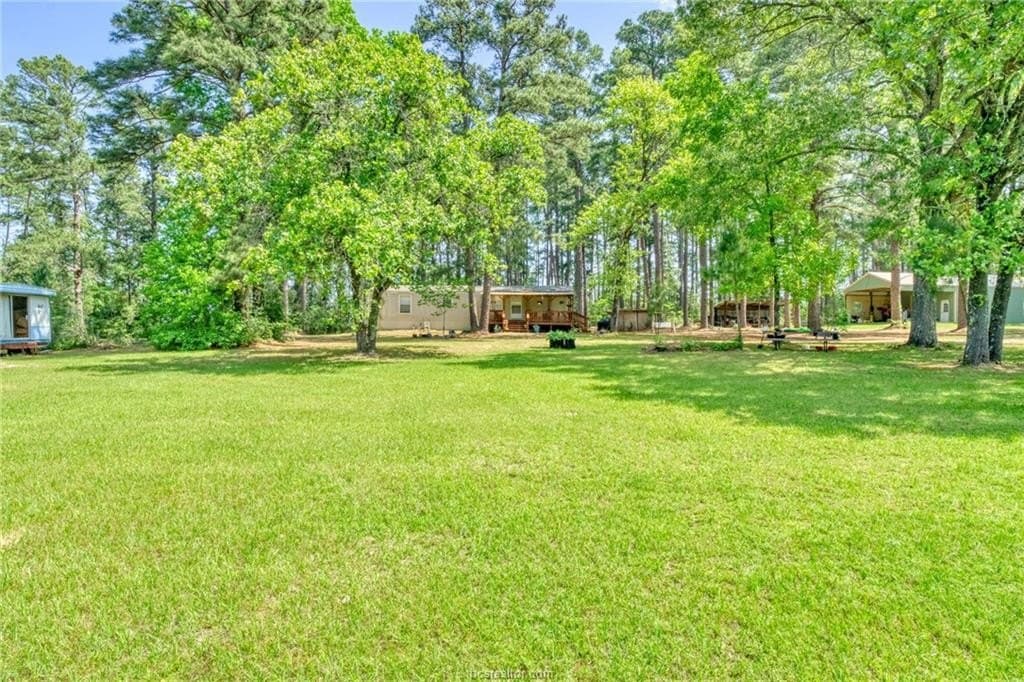 24.7 acres in Leon County gallery image 4