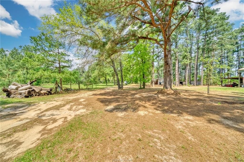 24.7 acres in Leon County gallery image 2