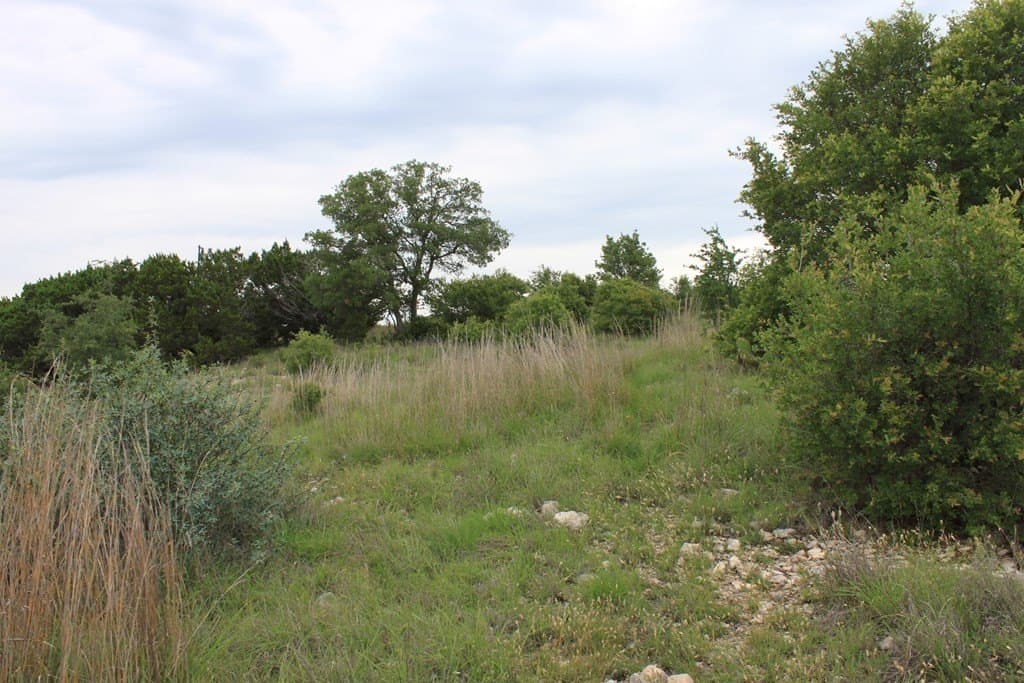 50 acres in Kimble County - photo 17