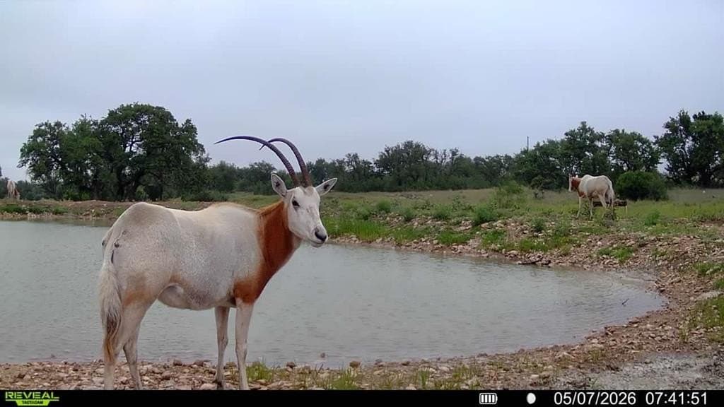 50 acres in Kimble County - photo 20