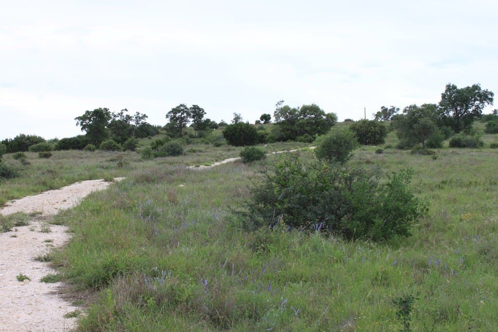 50 acres in Kimble County - photo 19