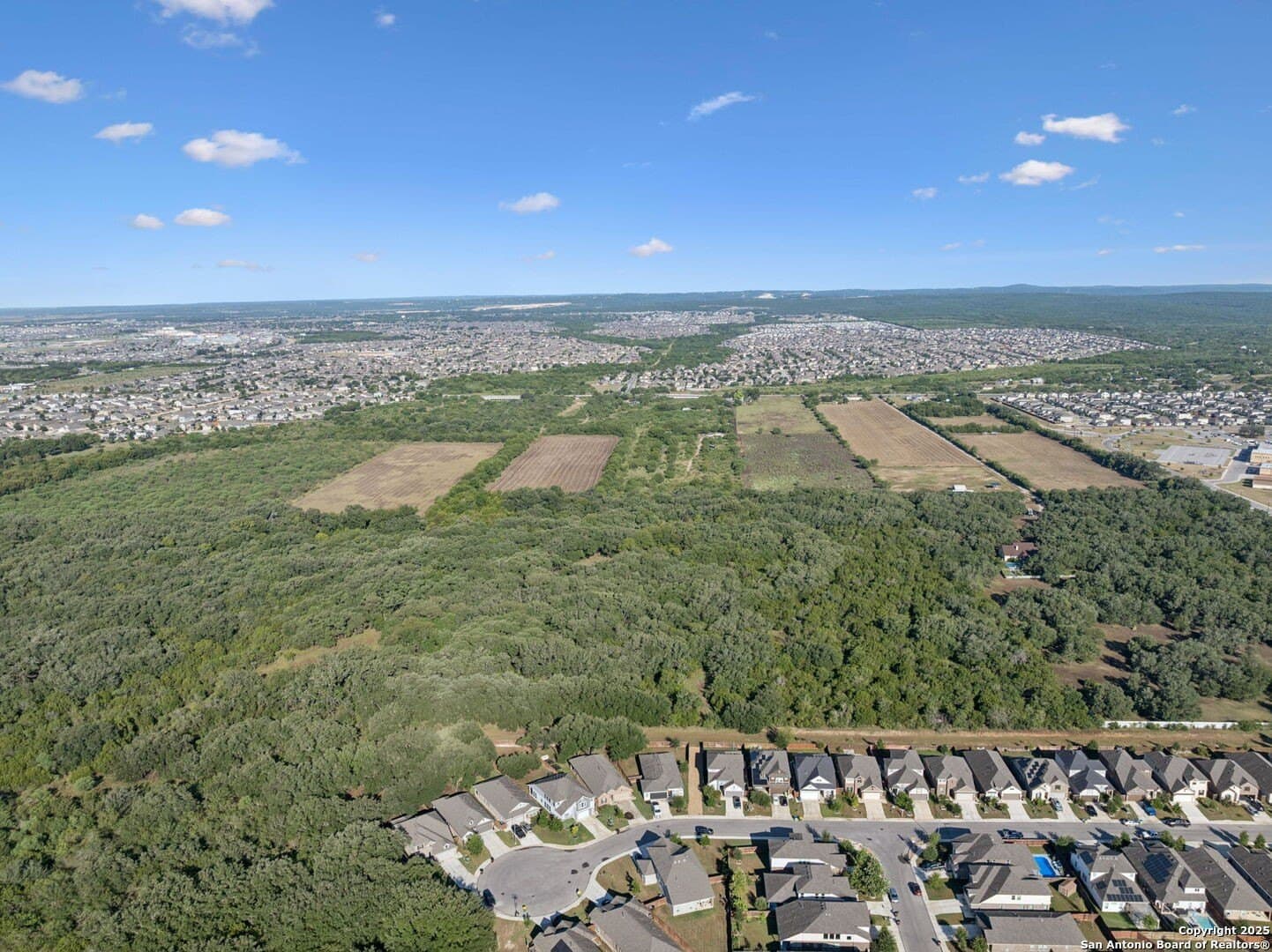 24.2 acres in Bexar County - photo 8