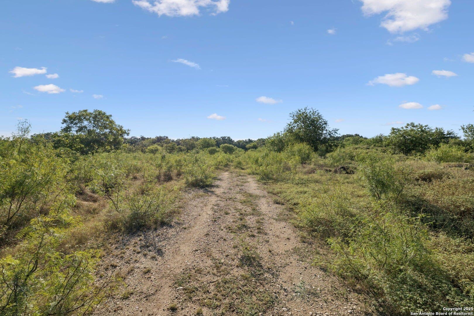 24.2 acres in Bexar County - photo 25