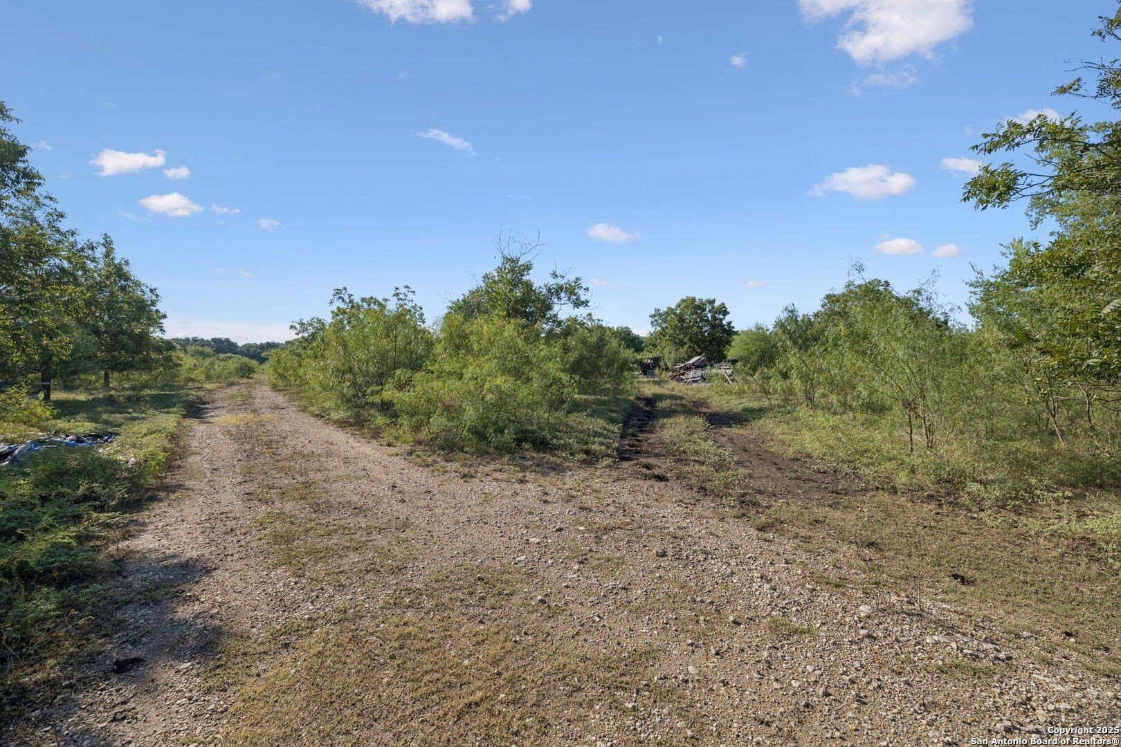24.2 acres in Bexar County - photo 29
