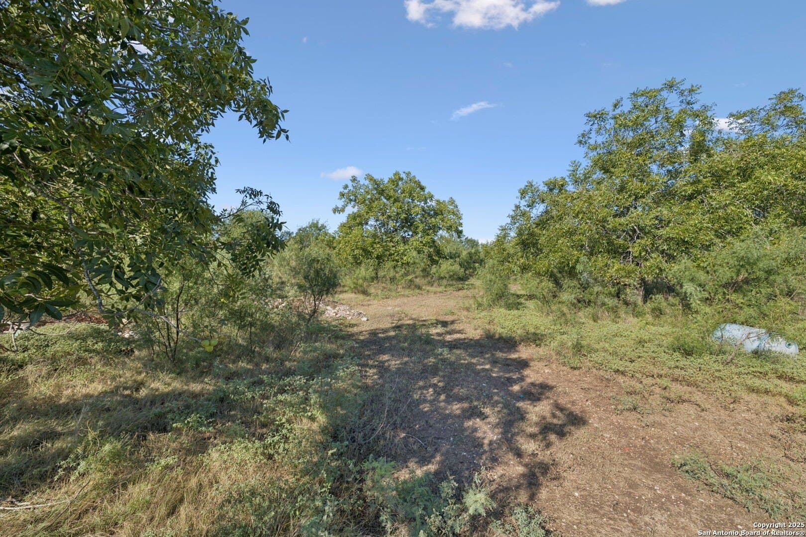 24.2 acres in Bexar County - photo 28