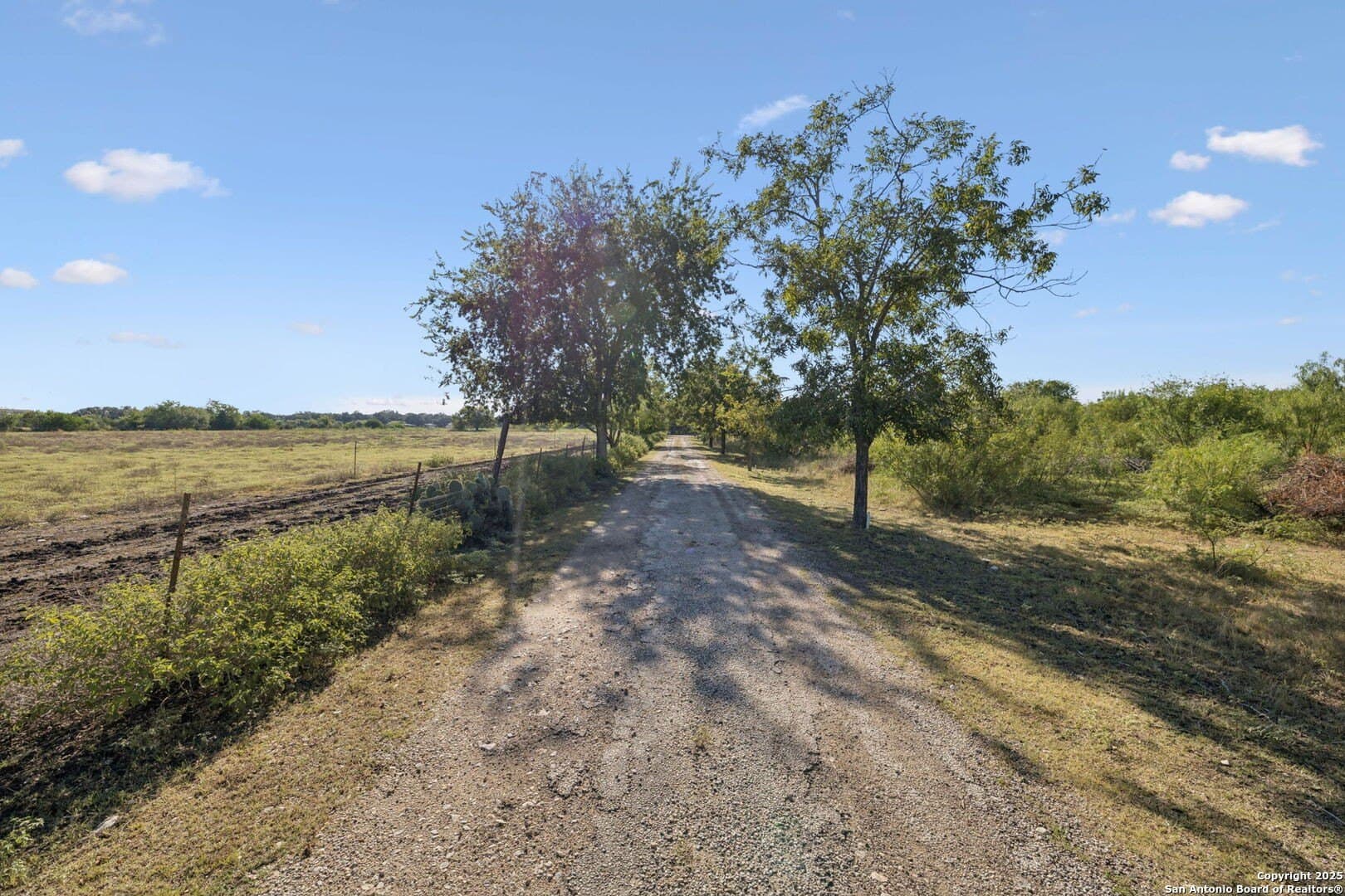 24.2 acres in Bexar County - photo 20