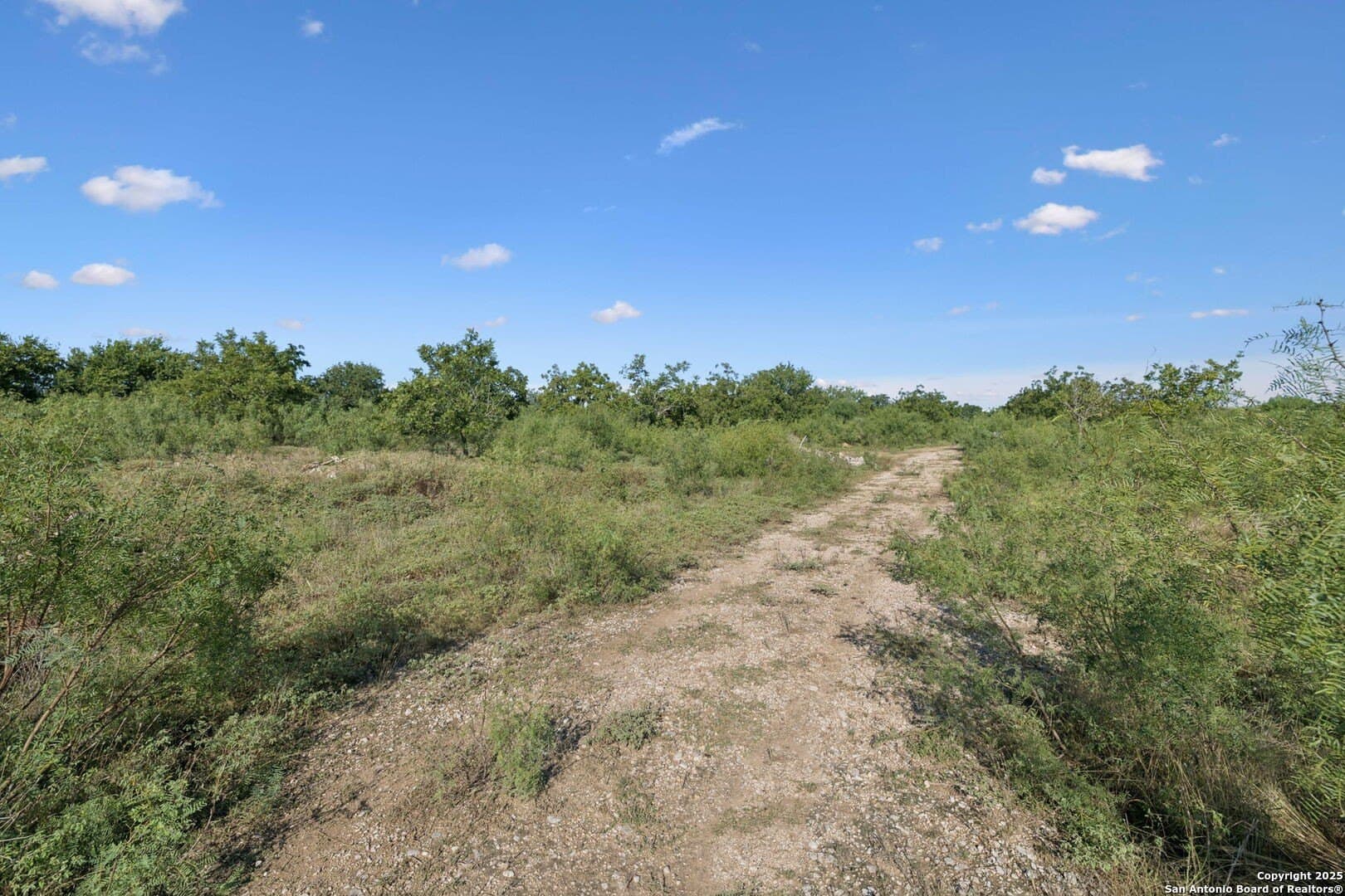 24.2 acres in Bexar County - photo 26