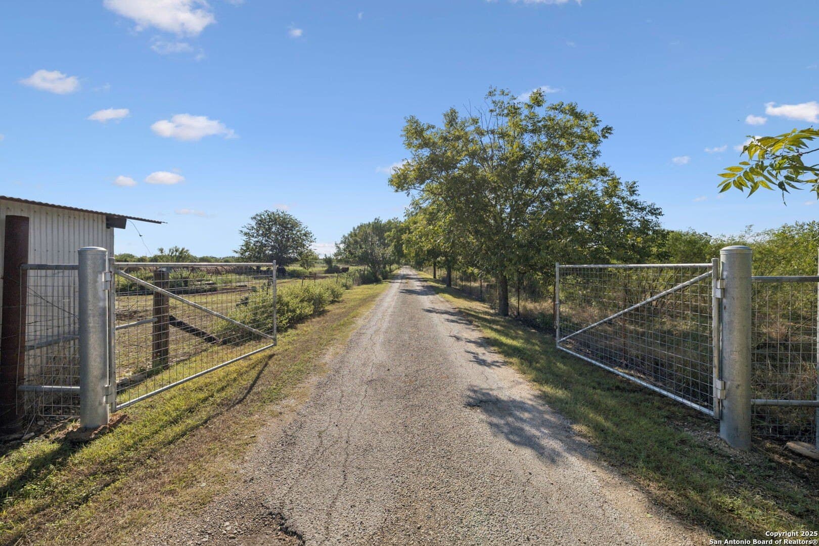 24.2 acres in Bexar County - photo 14